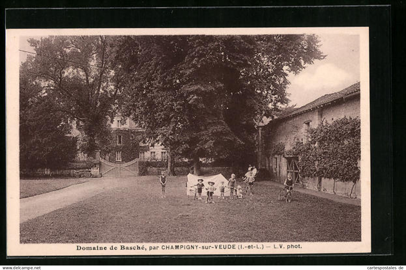 CPA Champigny-sur-Veude, Domaine De Basché  - Champigny-sur-Veude
