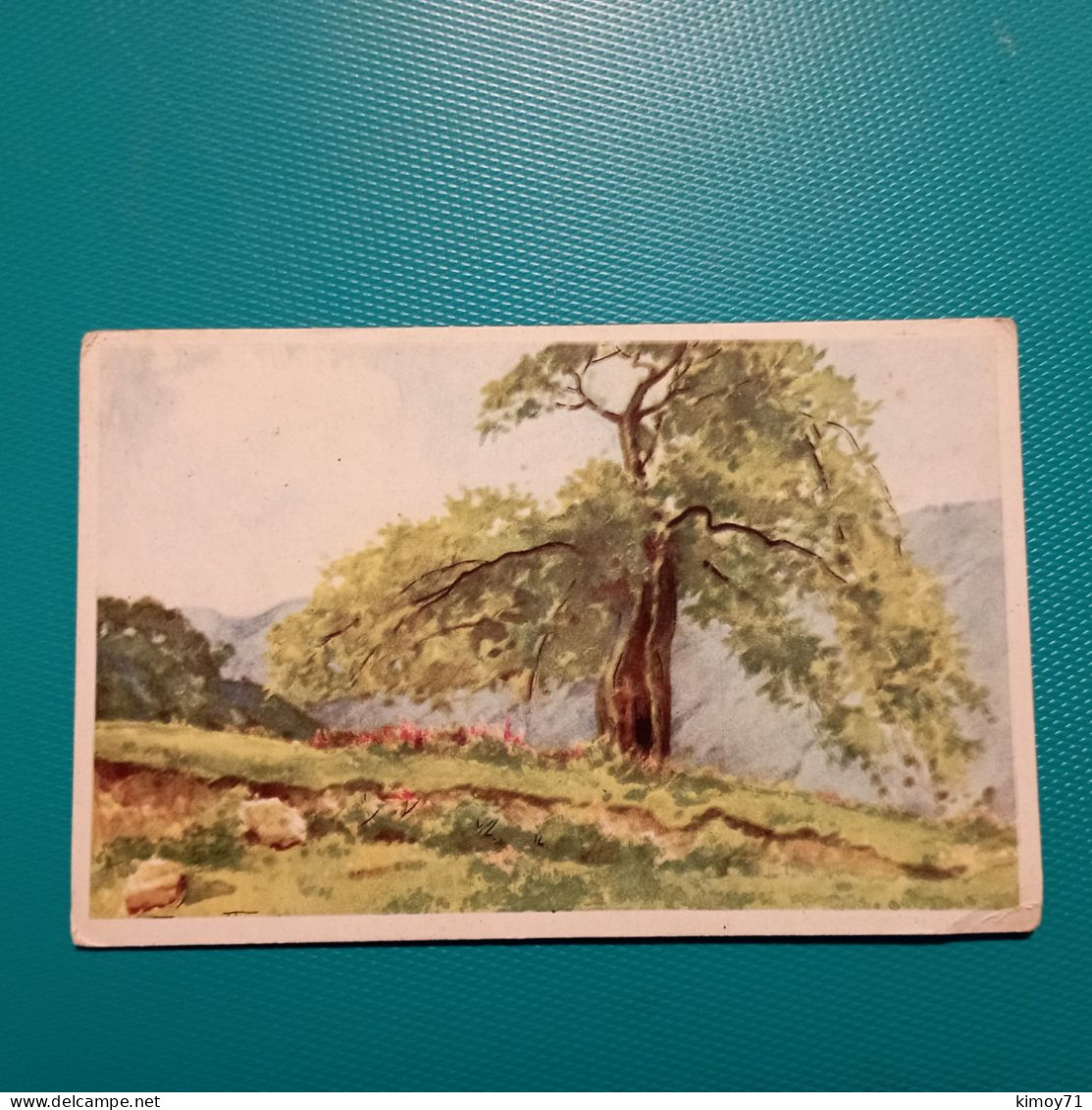 Cartolina Illustrata Paesaggio. Non Viaggiata - 1900-1949