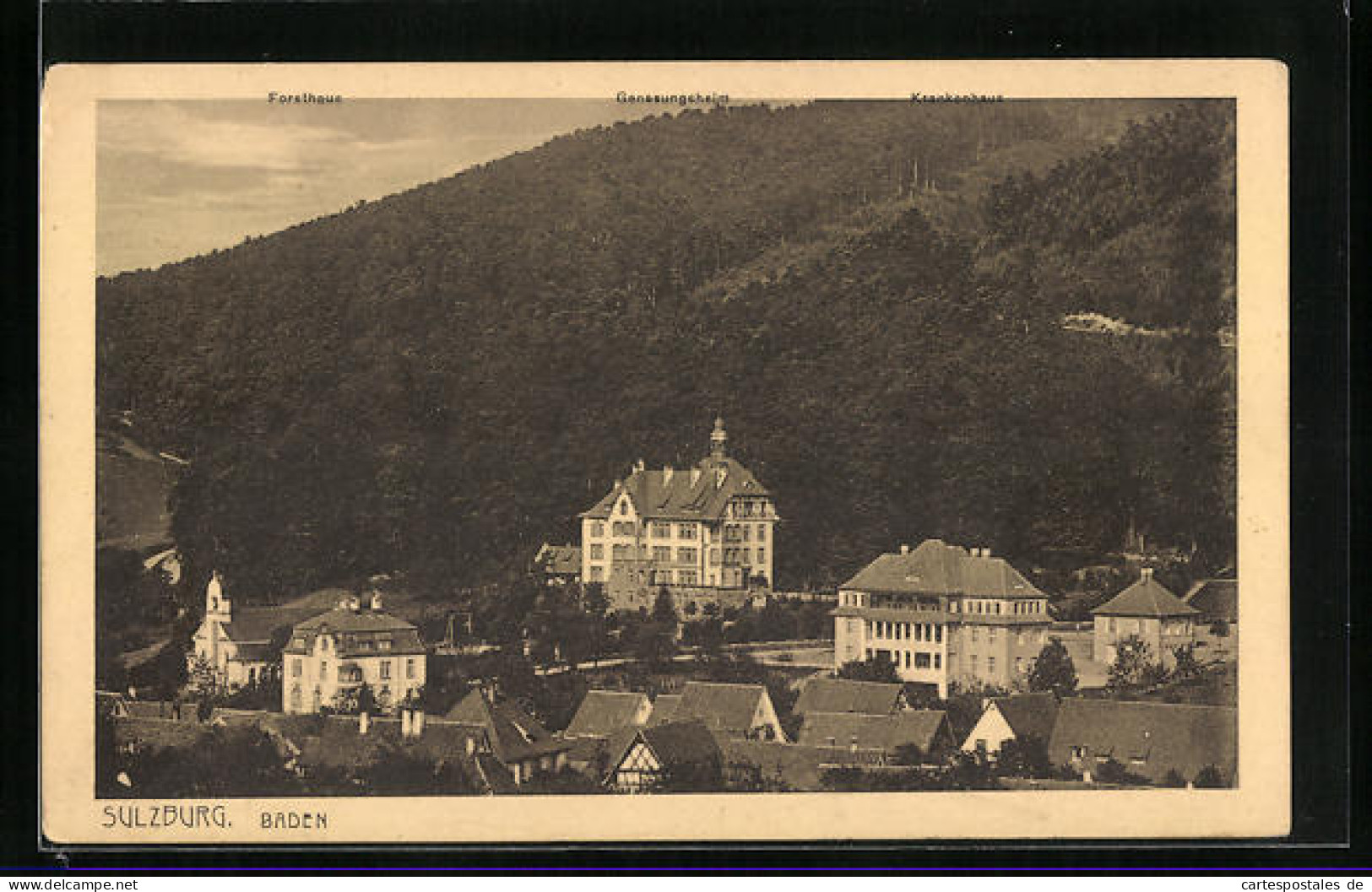 AK Sulzburg /Baden, Blick Auf Das Forsthaus, Das Genesungsheim Und Das Krankenhaus  - Chasse