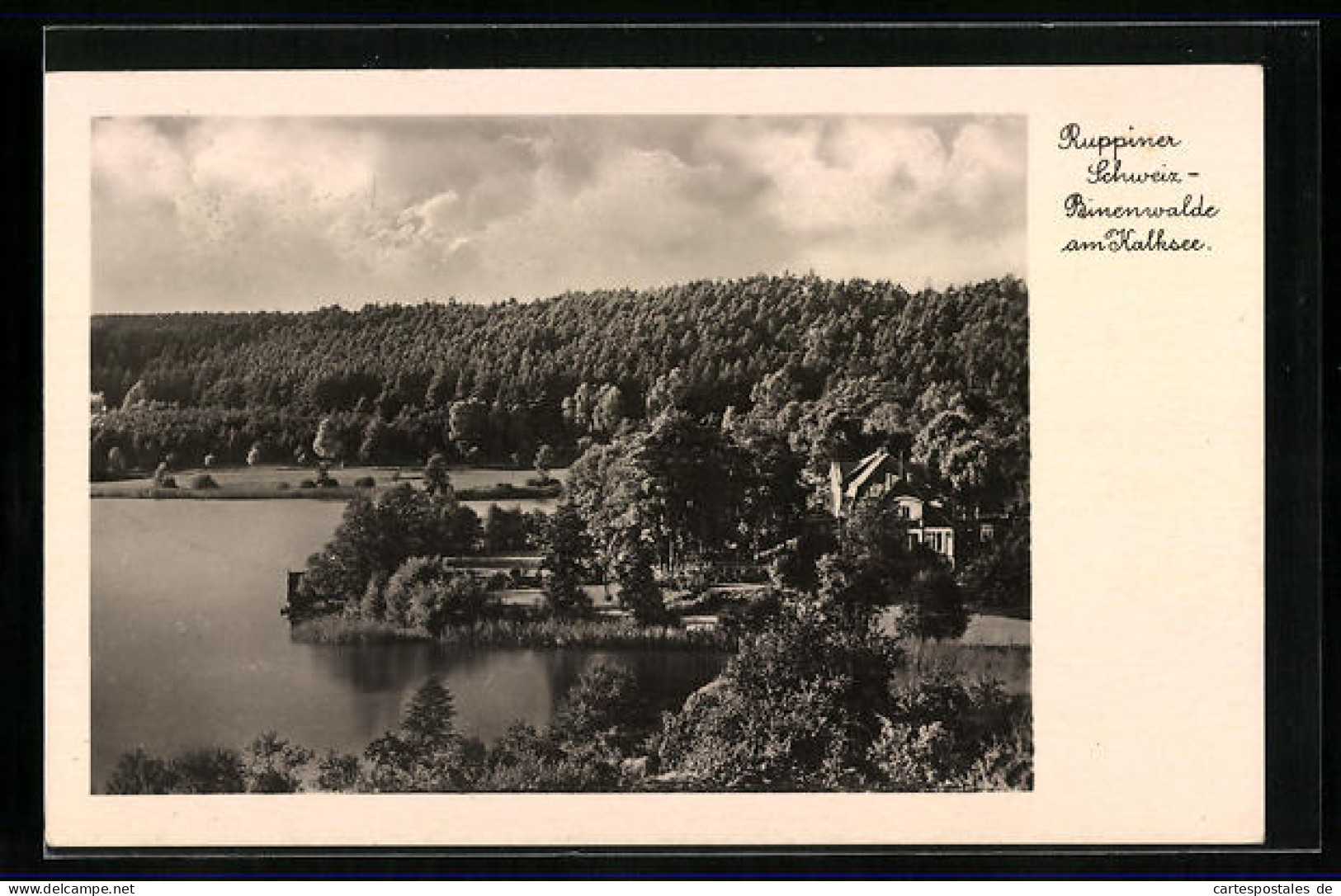 AK Binenwalde, Panorama Vom Kalksee  - Other & Unclassified