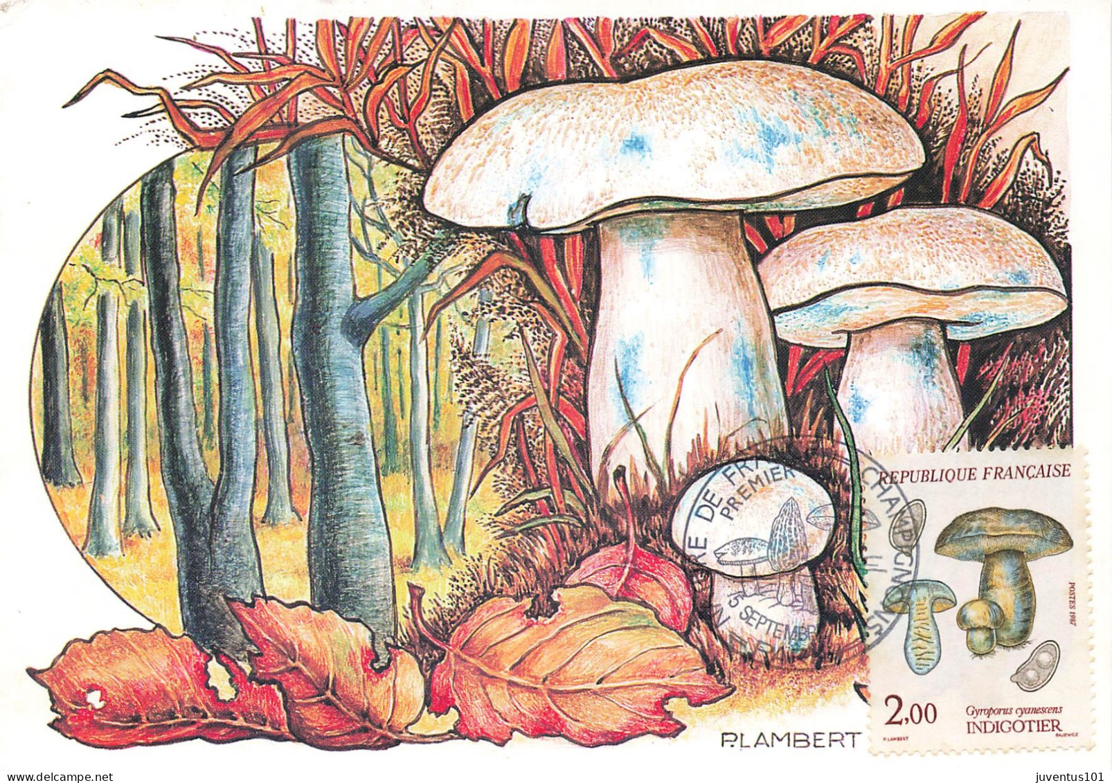 Carte Maximum-Champignons-Indigotier-Lambert-Oblitération Paris En 1987    L2886 - Timbres (représentations)