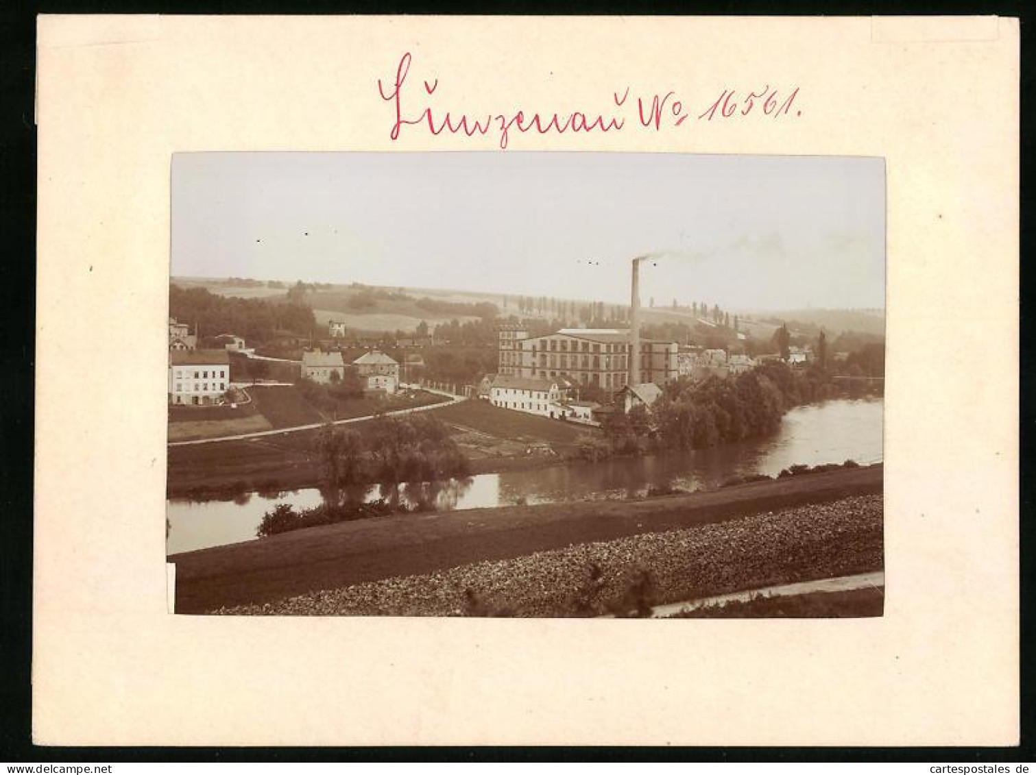 Fotografie Brück & Sohn Meissen, Ansicht Lunzenau, Fabrik Am Ufer Der Mulde  - Places