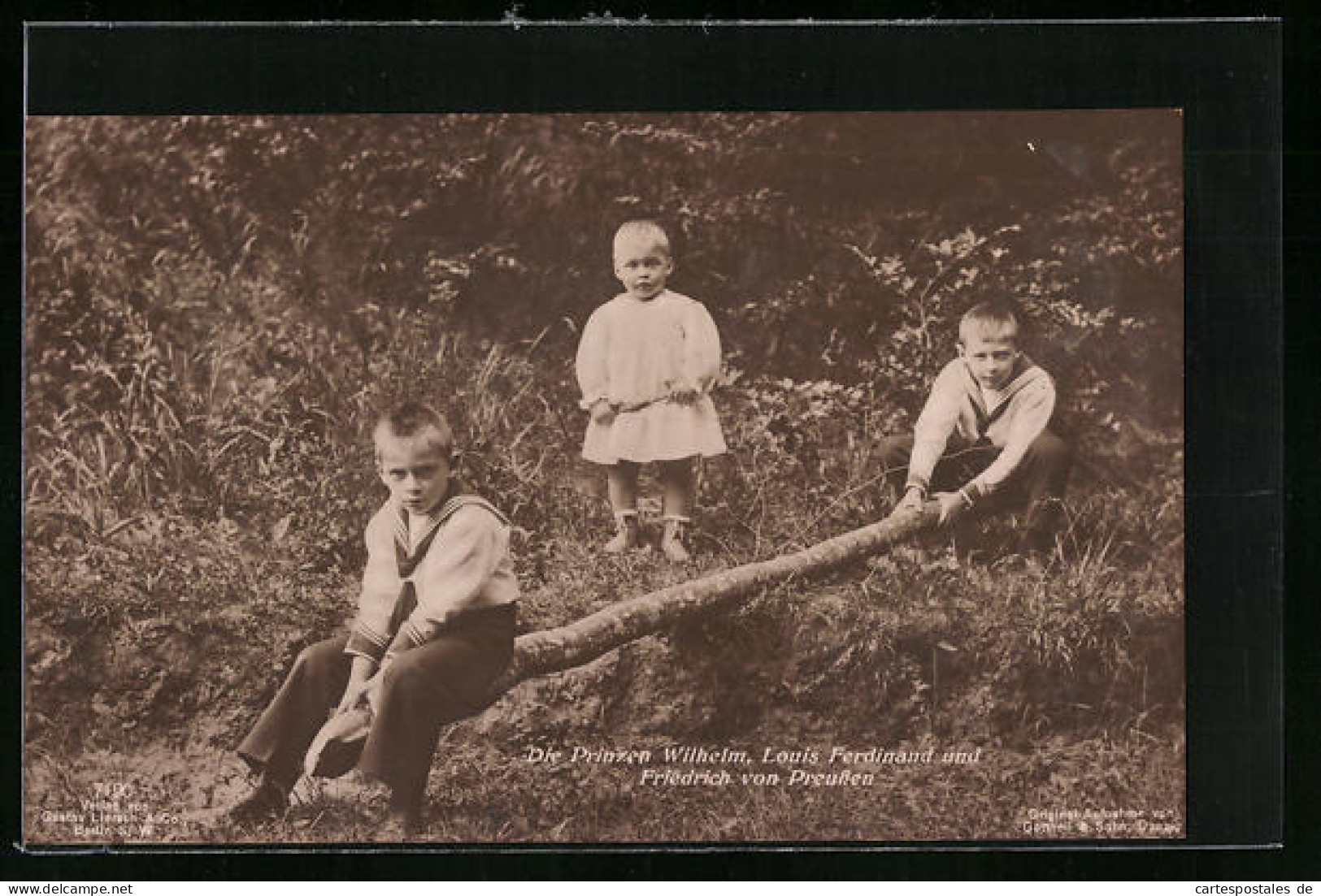 AK Die Prinzen Wilhelm, Louis Ferdinand Und Friedrich Von Preussen Spielen Im Wald  - Königshäuser