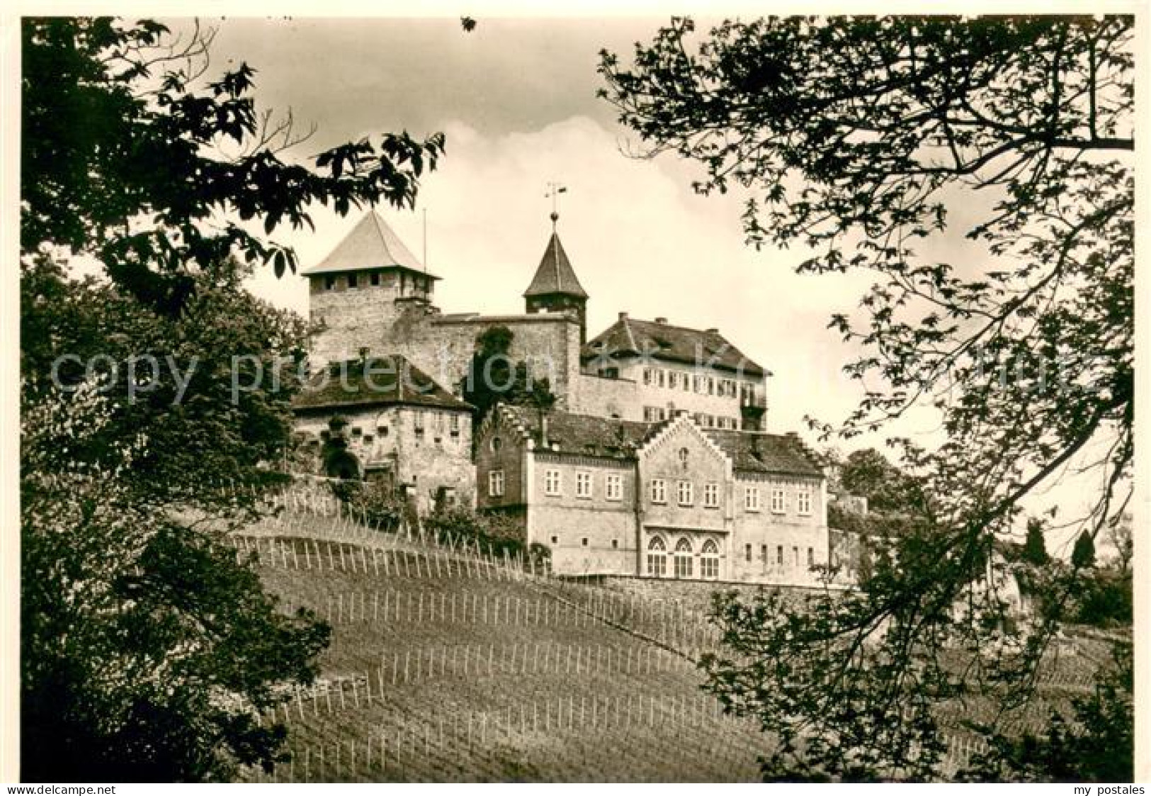 73626764 Schloss Eberstein Im Murgtal Schloss Eberstein - Gernsbach