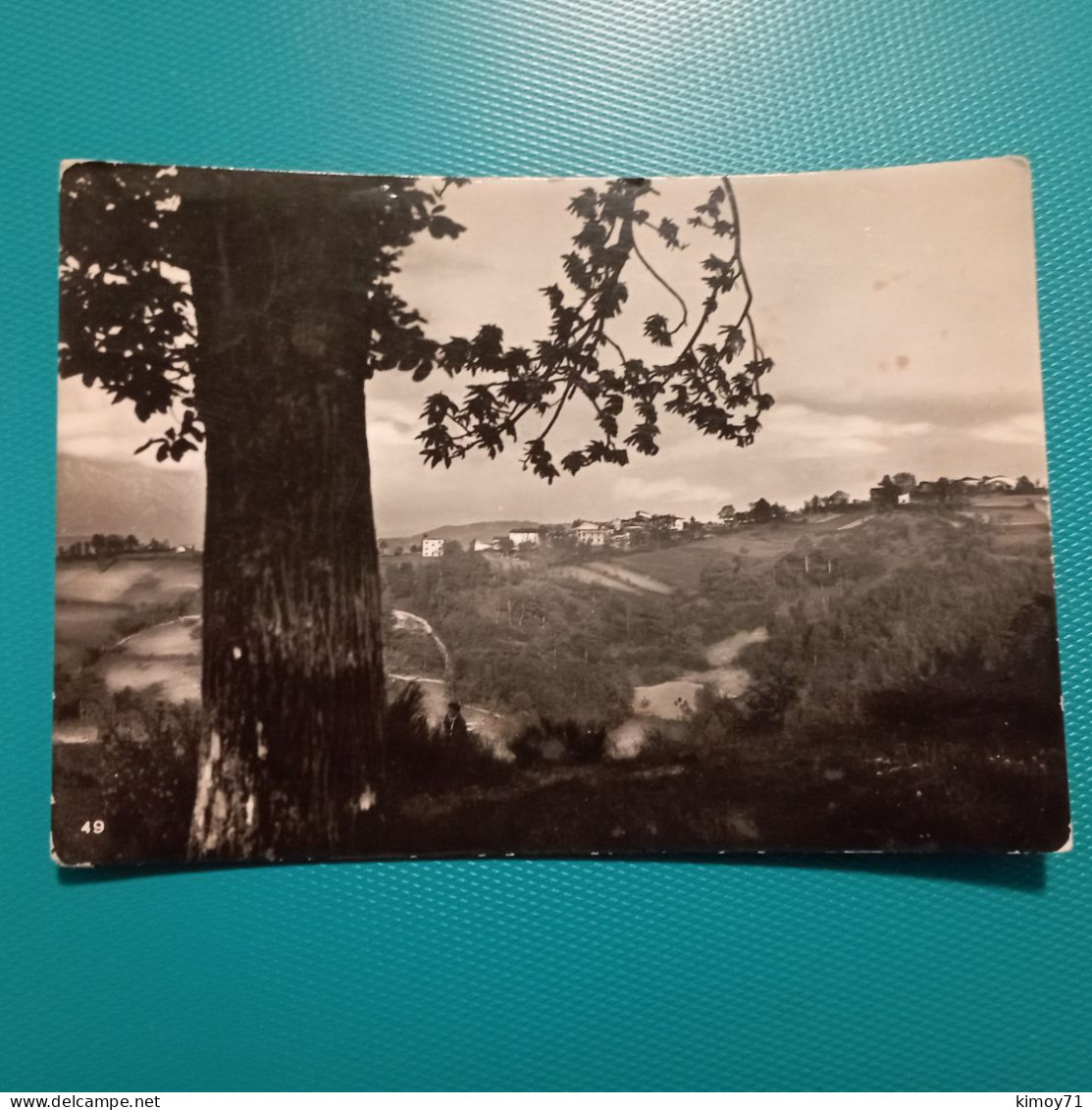Cartolina Dintorni Di Amatrice M. 955 - Panorama Di Nommisci M. 1181. Viaggiata 1955 - Rieti