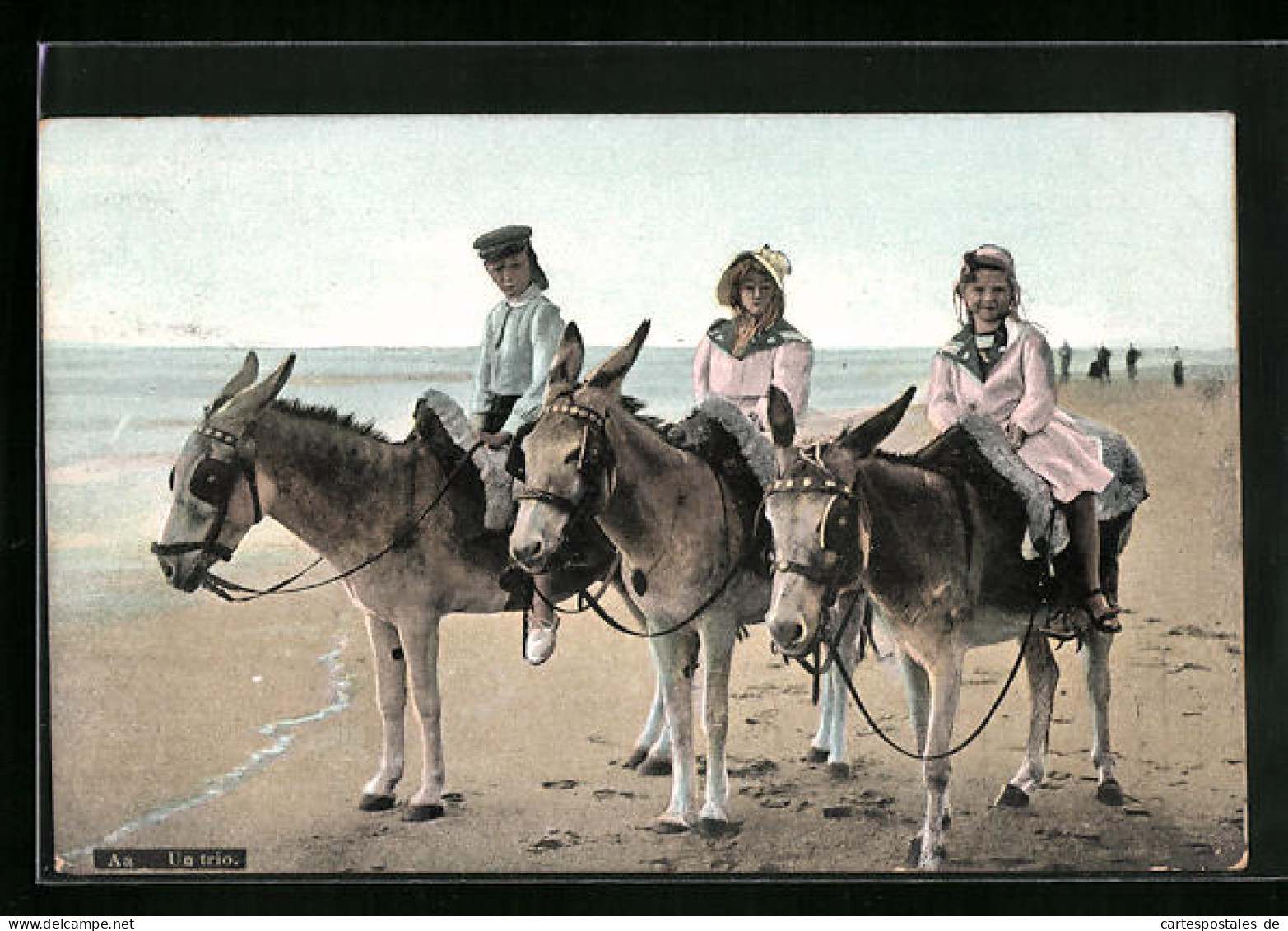 AK Drei Kinder Auf Eseln An Einem Strand  - Donkeys