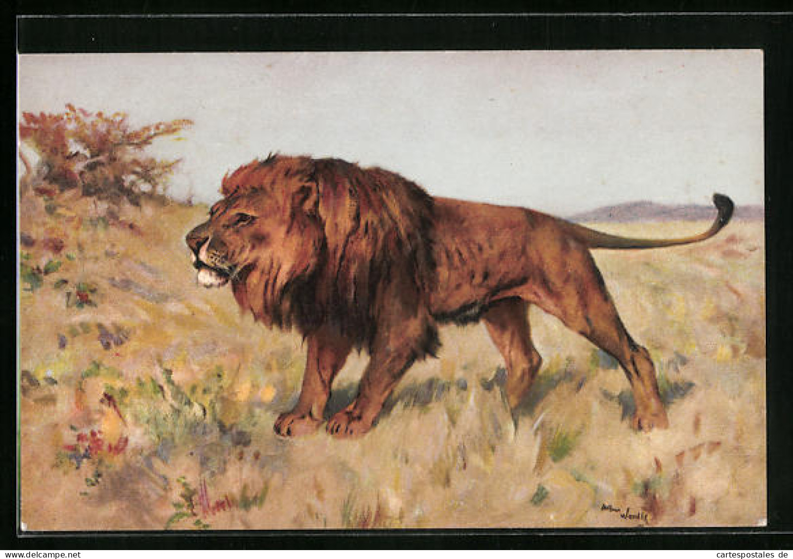Künstler-AK Löwe Auf Der Jagd In Der Steppe  - Tigres