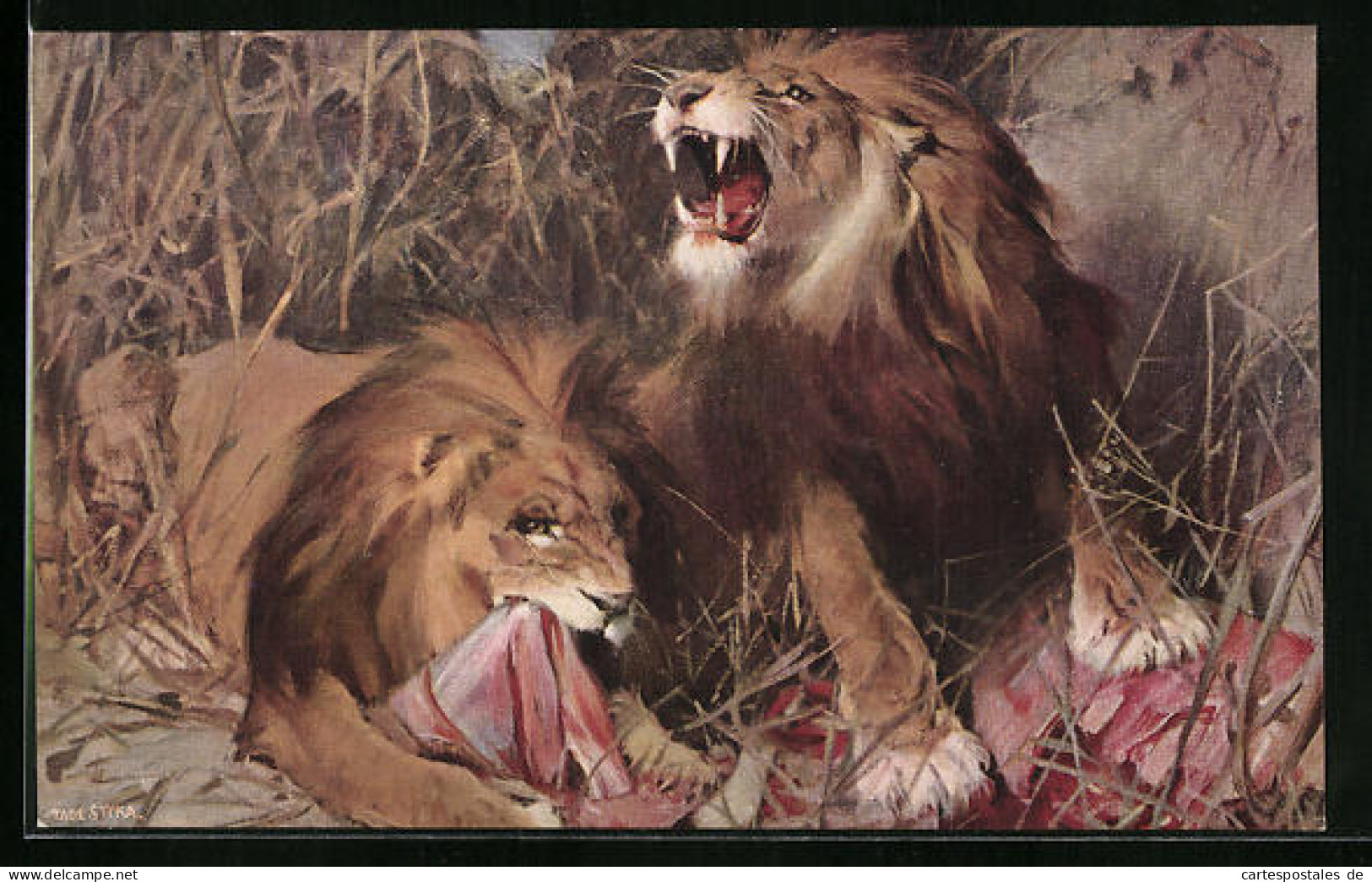 Künstler-AK Zwei Männliche Löwen Beim Verzehren Von Beute  - Tiger