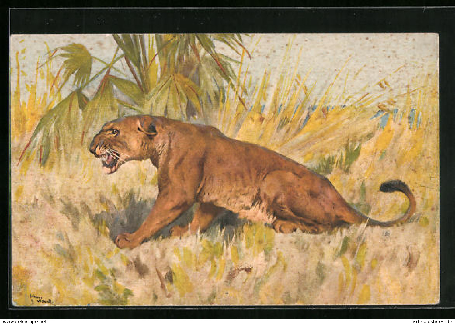 Künstler-AK Weiblicher Löwe In Freier Wildbahn  - Tiger