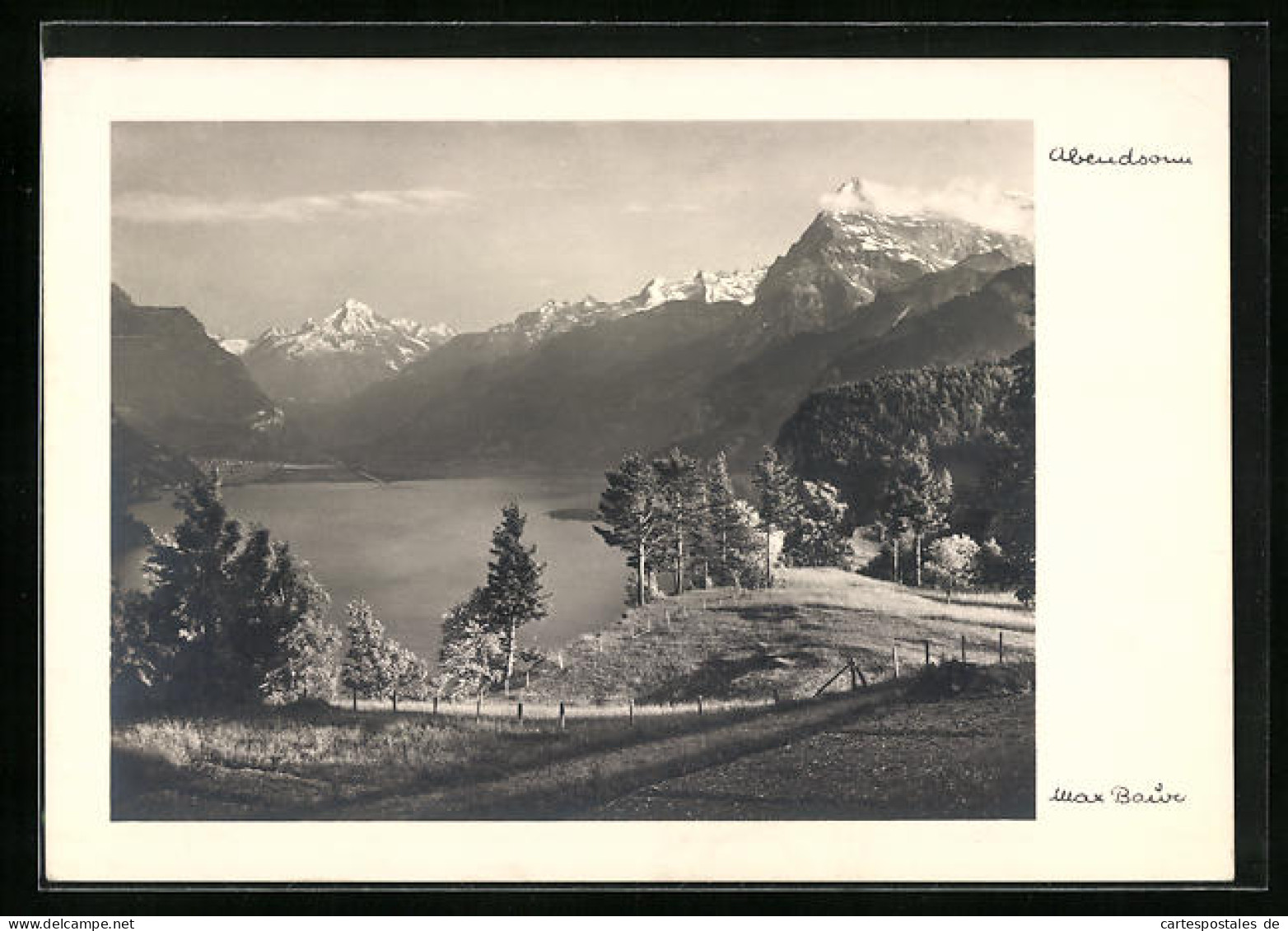 Foto-AK Max Baur: Abendsonn Am Vierwaldstättersee  - Autres & Non Classés