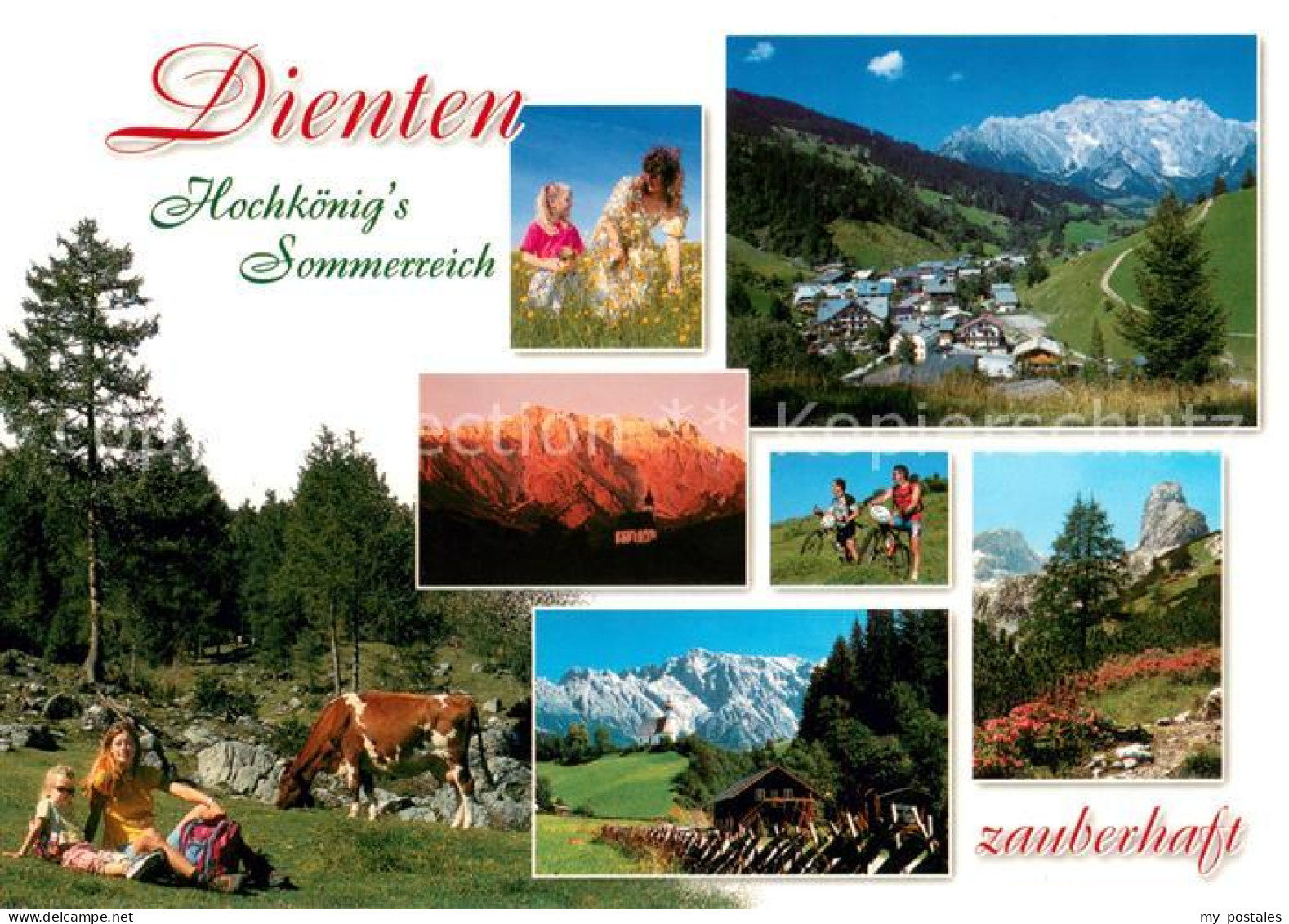 73626016 Dienten Hochkoenig Teilansichten Panorama Picknick Dienten Hochkoenig - Sonstige & Ohne Zuordnung