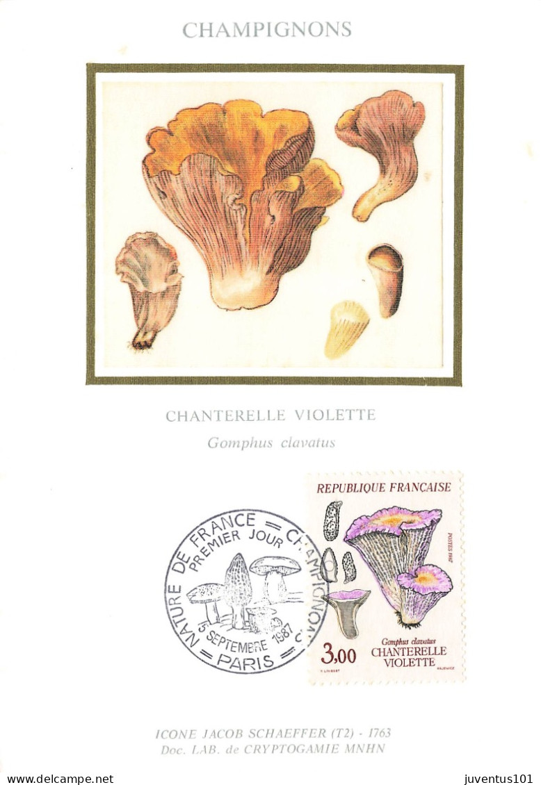 Carte Maximum-Champignons-Chanterelle-Oblitération Paris En 1987    L2885 - Timbres (représentations)