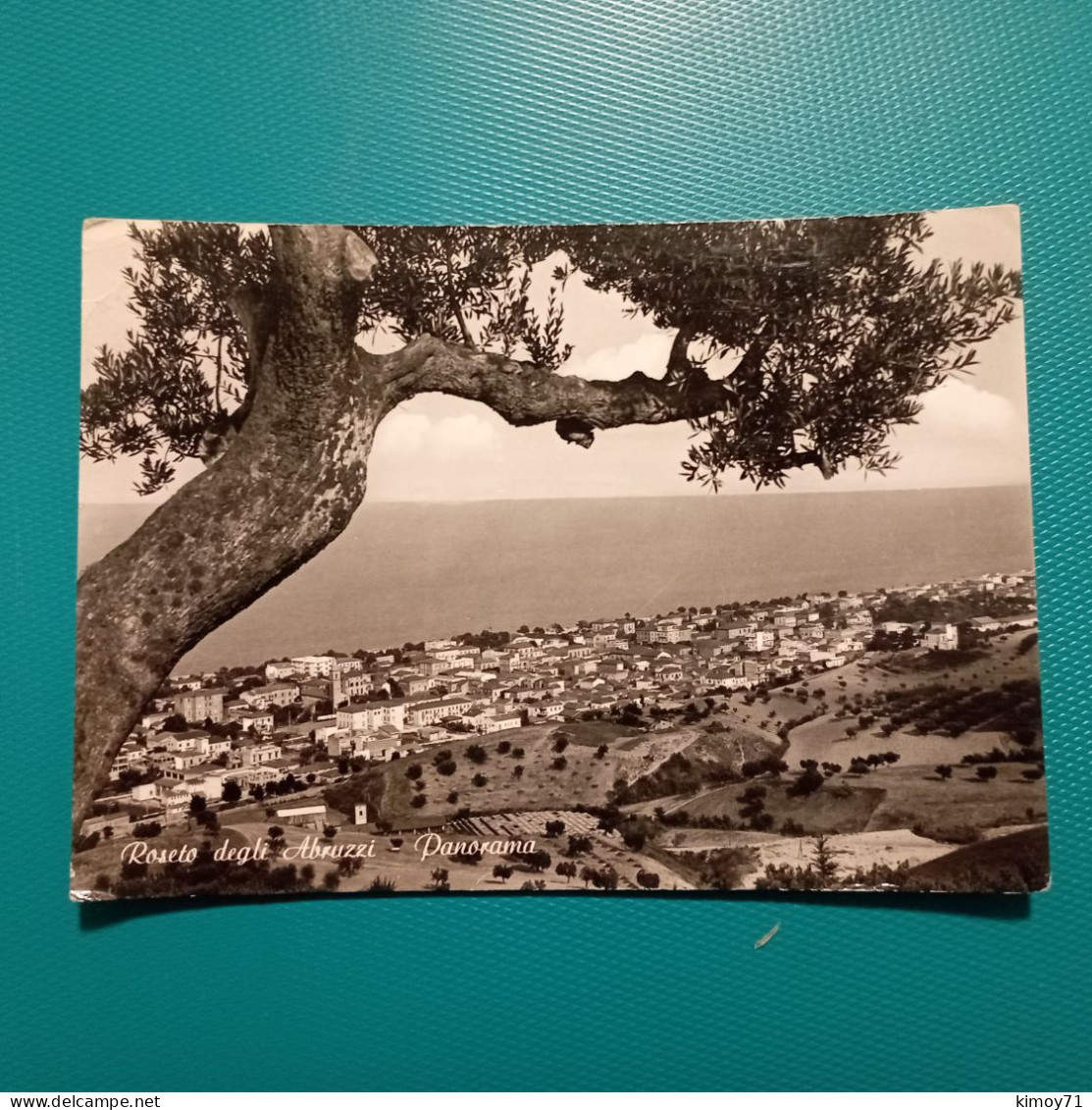 Cartolina Roseto Degli Abruzzi - Panorama. Viaggiata - Teramo