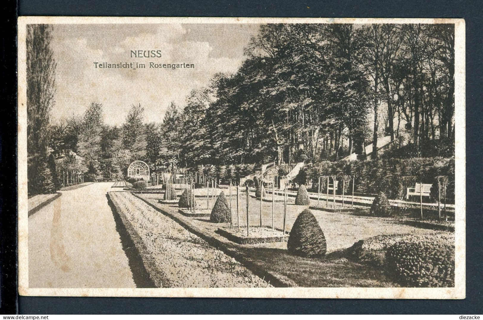 AK Neuss Um 1920 Teilansicht Im Rosengarten (PK0213 - Other & Unclassified