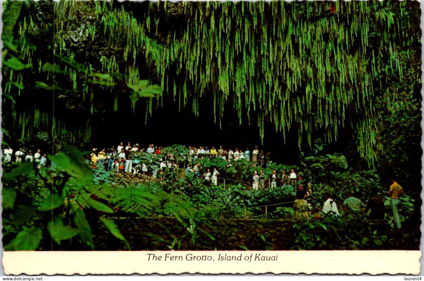 3-5-2024 (4 Z 5) USA - Island Of Kauai (Hawaii) Fern Grotto - Kauai