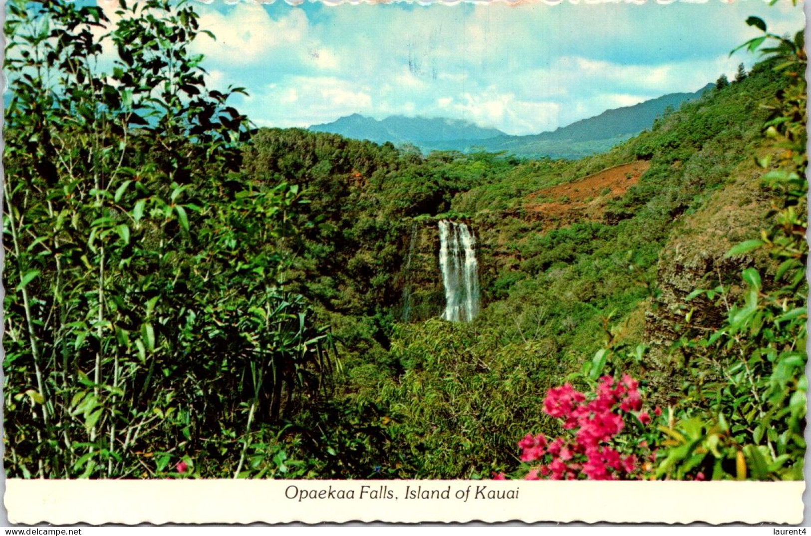 3-5-2024 (4 Z 5) USA - Island Of Kauai (Hawaii) Opakaa Falls - Kauai