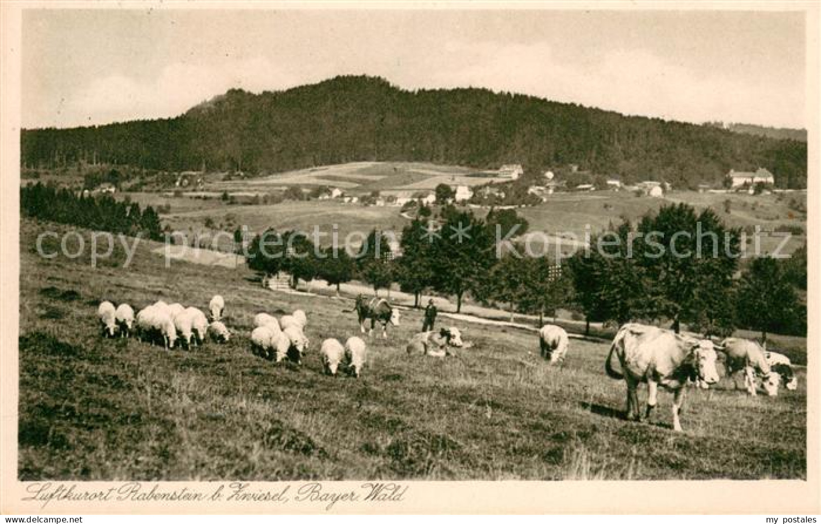 73624660 Rabenstein Zwiesel  Rabenstein Zwiesel - Zwiesel