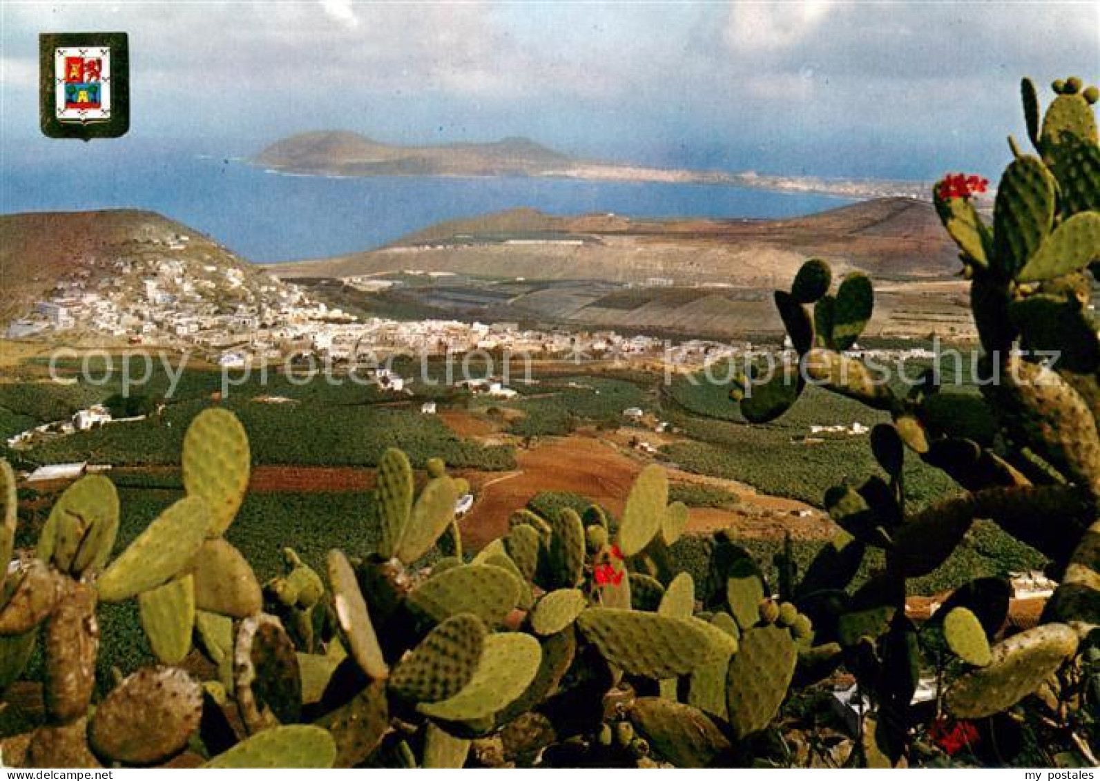 73624631 Las Palmas Gran Canaria Montana Cardones Meerblick Las Palmas Gran Cana - Sonstige & Ohne Zuordnung