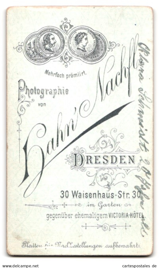 Fotografie Hahn's Nachf., Dresden, Waisenhausstr. 30, Portrait Schönes Fräulein Mit Schleife Im Dutt  - Anonyme Personen