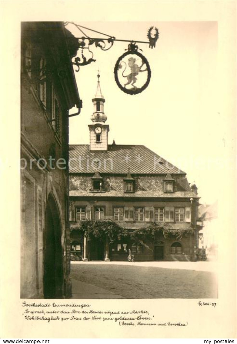 73623580 Emmendingen Wirtshausschild Gasthaus Zum Goldenen Loewen Emmendingen - Emmendingen