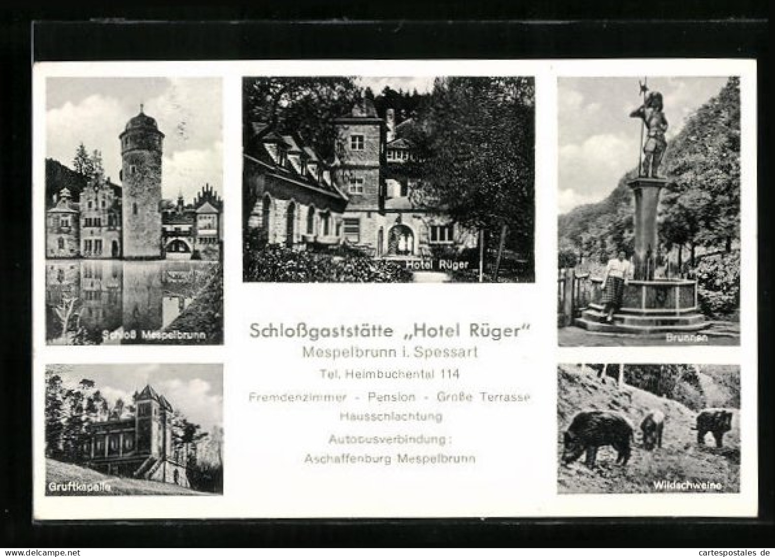 AK Mespelbrunn / Spessart, Schlossgaststätte Hotel Rüger, Schloss, Gruftkapelle, Brunnen  - Altri & Non Classificati
