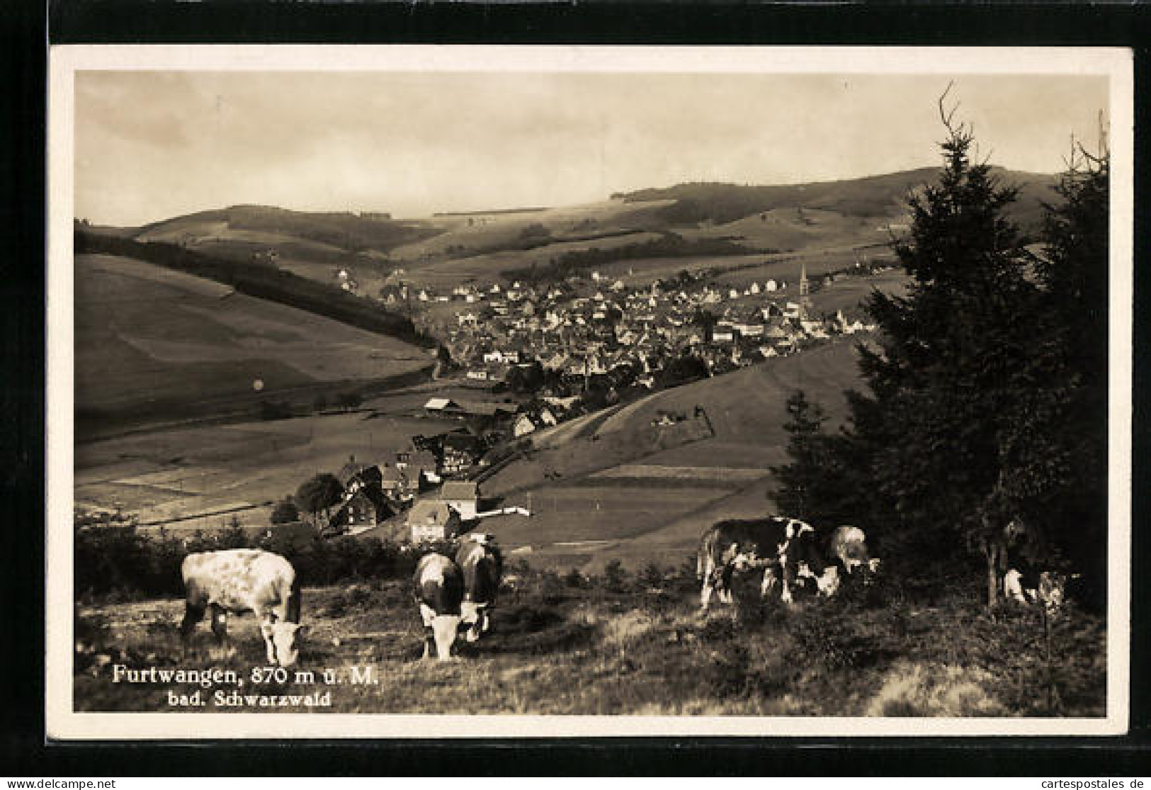 AK Furtwangen, Gesamtansicht  - Furtwangen