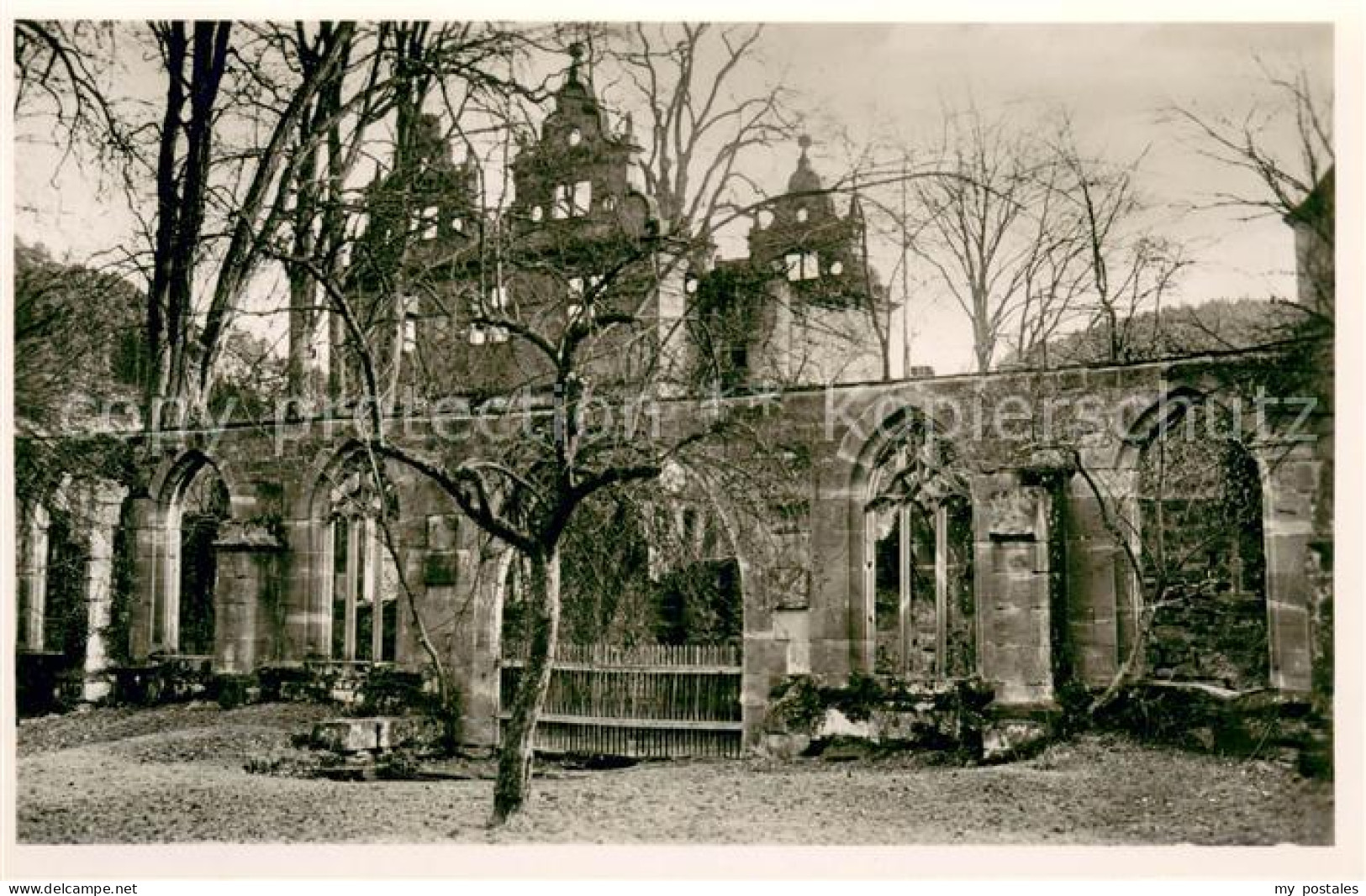 73623190 Hirsau Kloster Kreuzgang Mit Schlossruine Und Ulme Hirsau - Calw