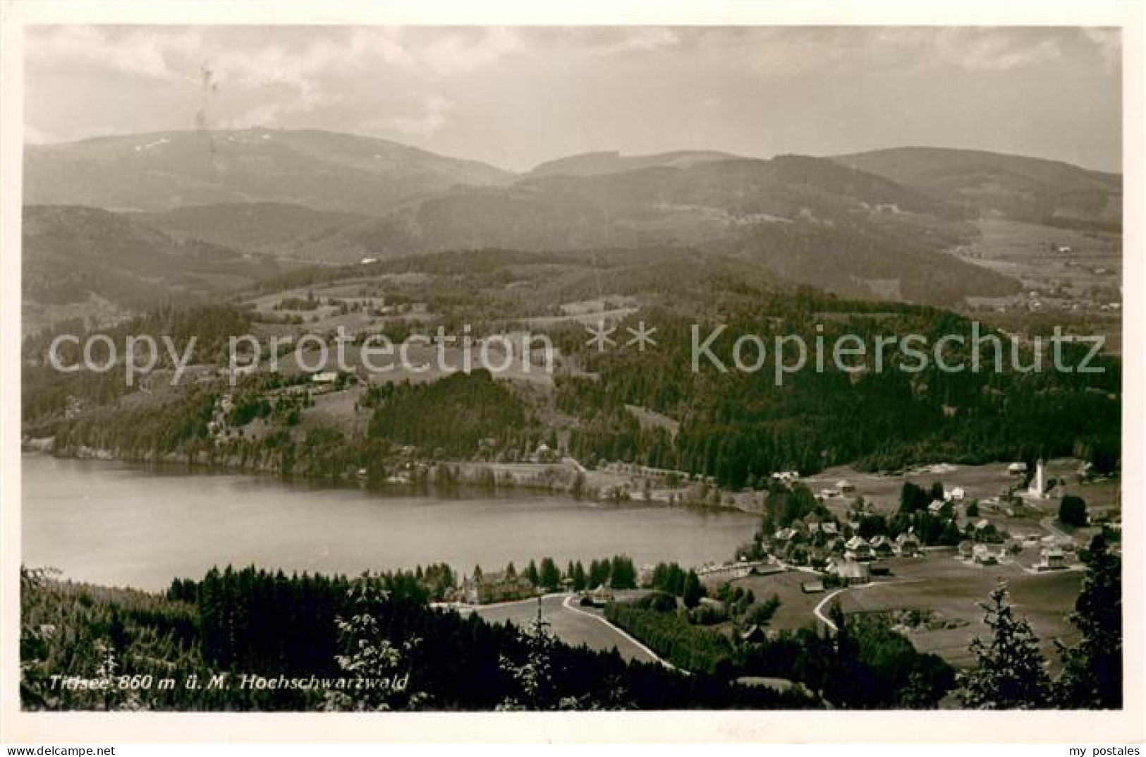 73623114 Titisee Panorama Titisee - Titisee-Neustadt