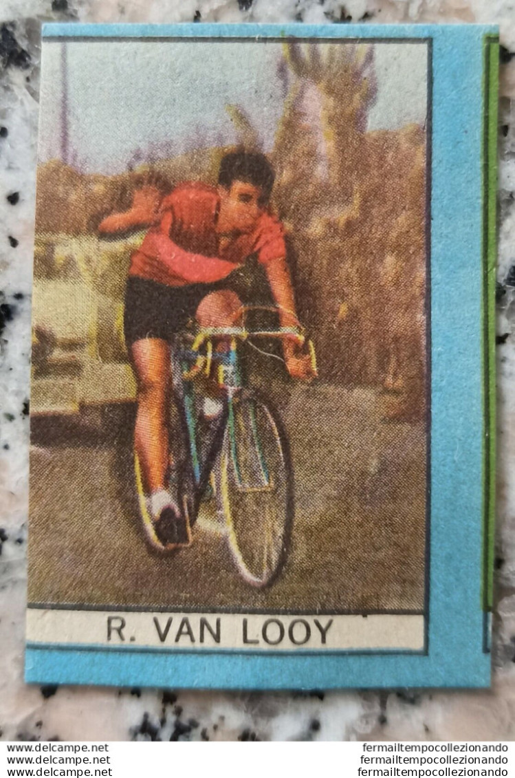 Bh Figurina Cartonata Nannina Cicogna Ciclismo Cycling Anni 50 R.van Looy - Catálogos
