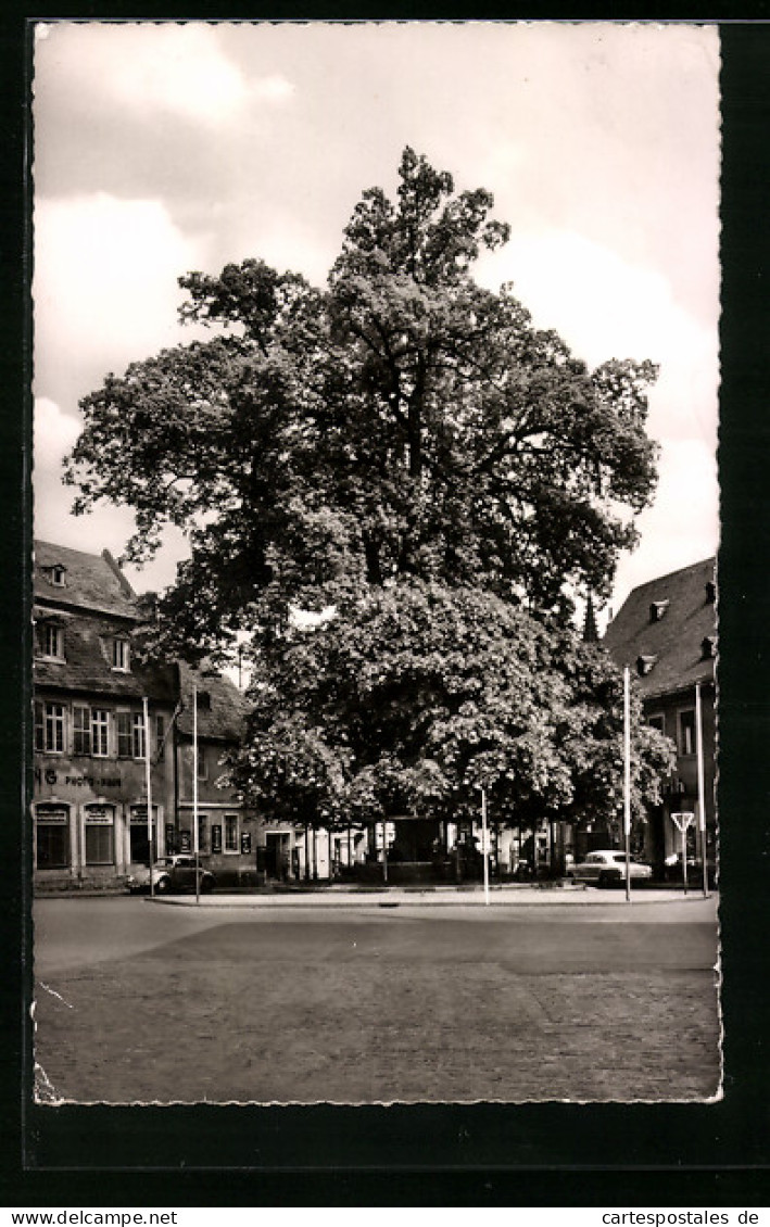 AK Geisenheim Am Rhein, Alte Linde Am Markt  - Other & Unclassified