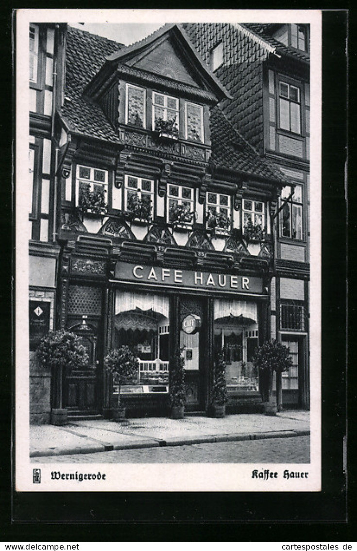 AK Wernigerode / Harz, Café Hauer  - Wernigerode