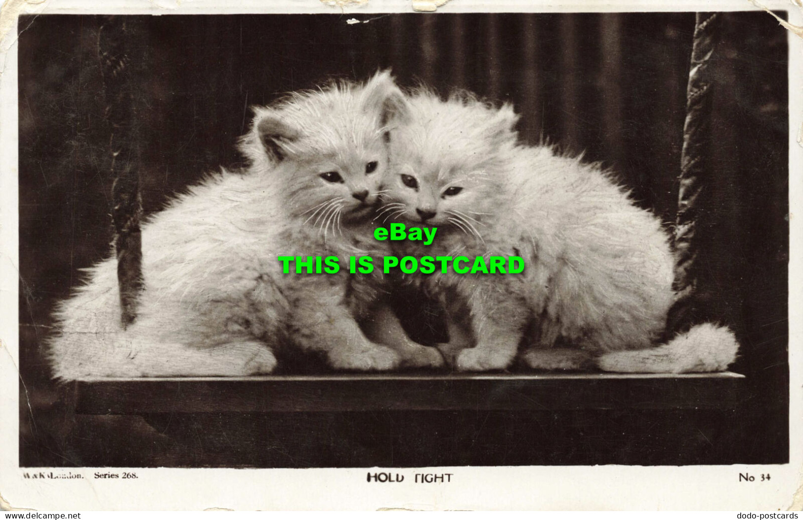 R592386 W. And K. London. Series 268. Hold Tight. Cats. Kittens. No. 34. 1921 - Sonstige & Ohne Zuordnung
