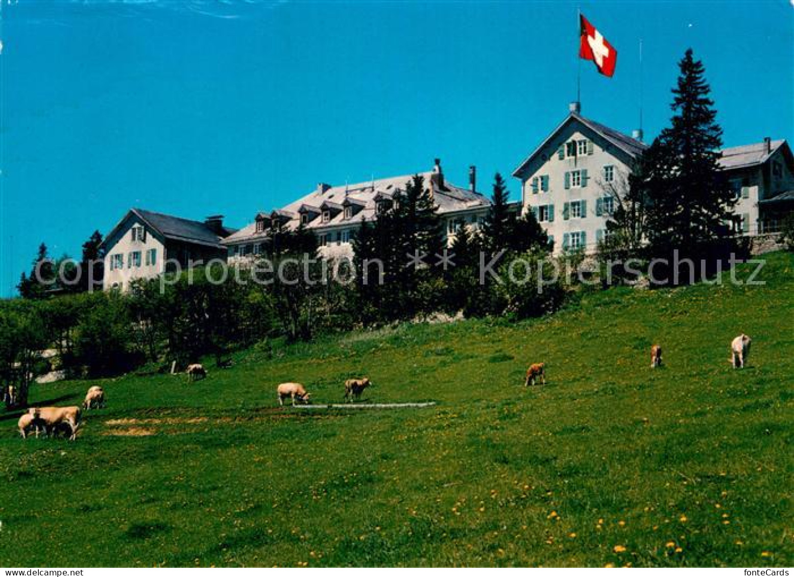 13001665 Weissenstein SO Hotel Kurhaus Weissenstein B. Solothurn - Other & Unclassified