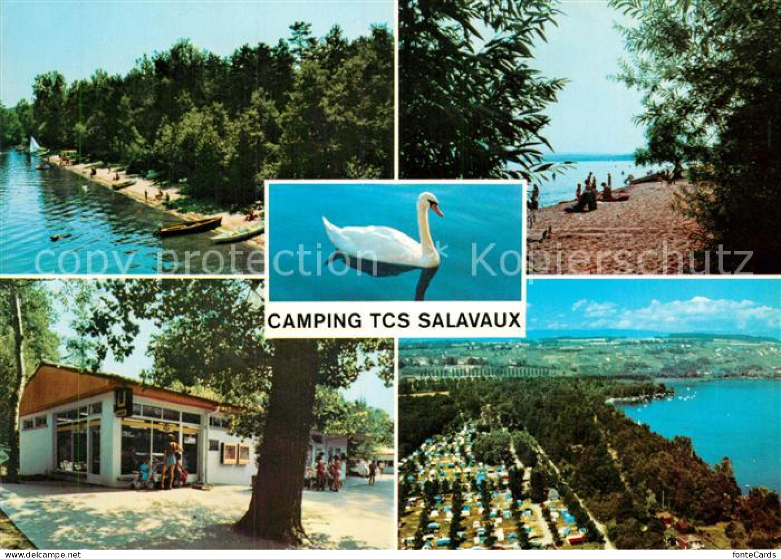 12932625 Salavaux Camping TCS Schwan Salavaux - Sonstige & Ohne Zuordnung