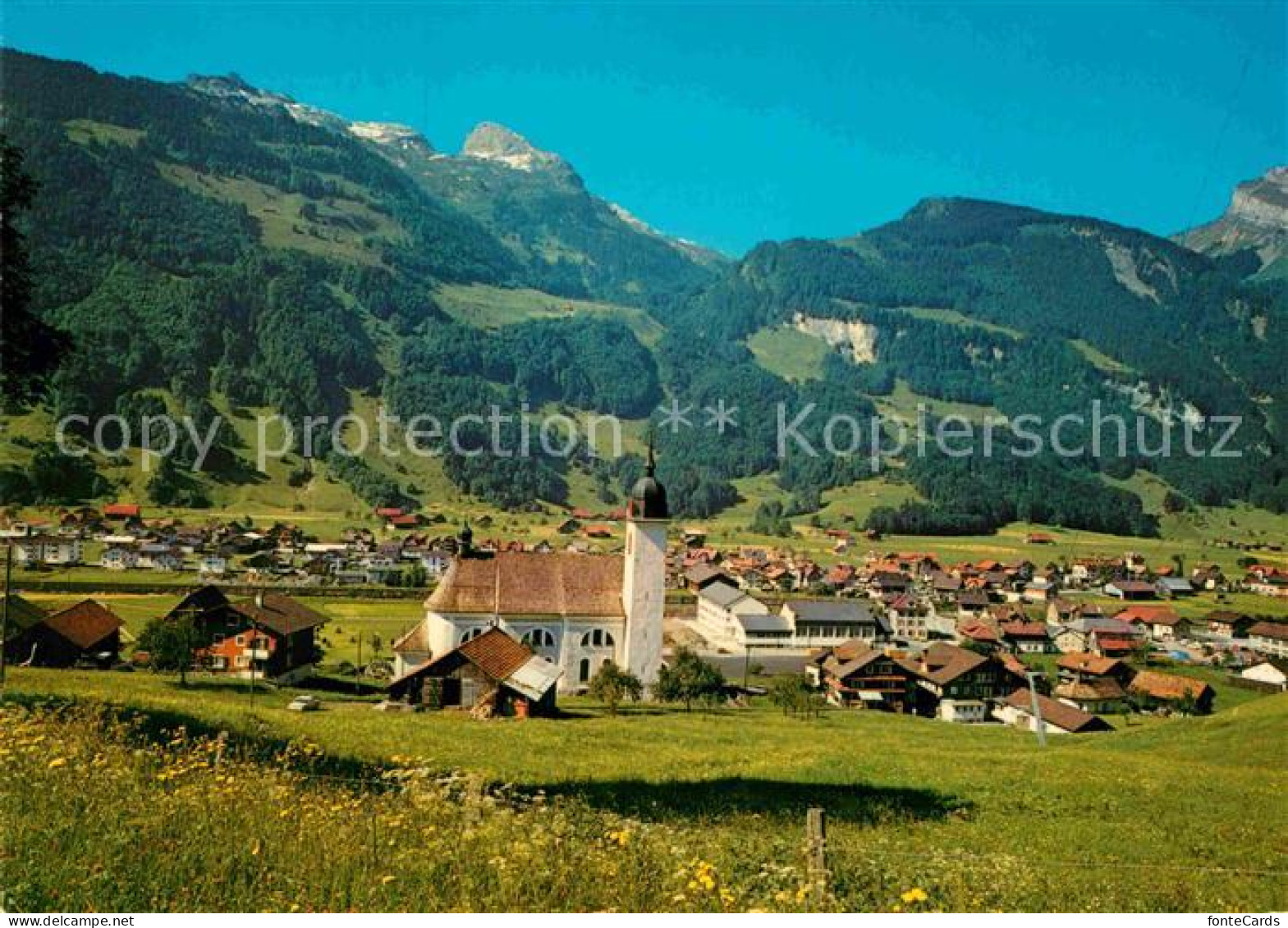 12899415 Muotathal Achselberg Schwarzstock Planstock Muotathal - Sonstige & Ohne Zuordnung