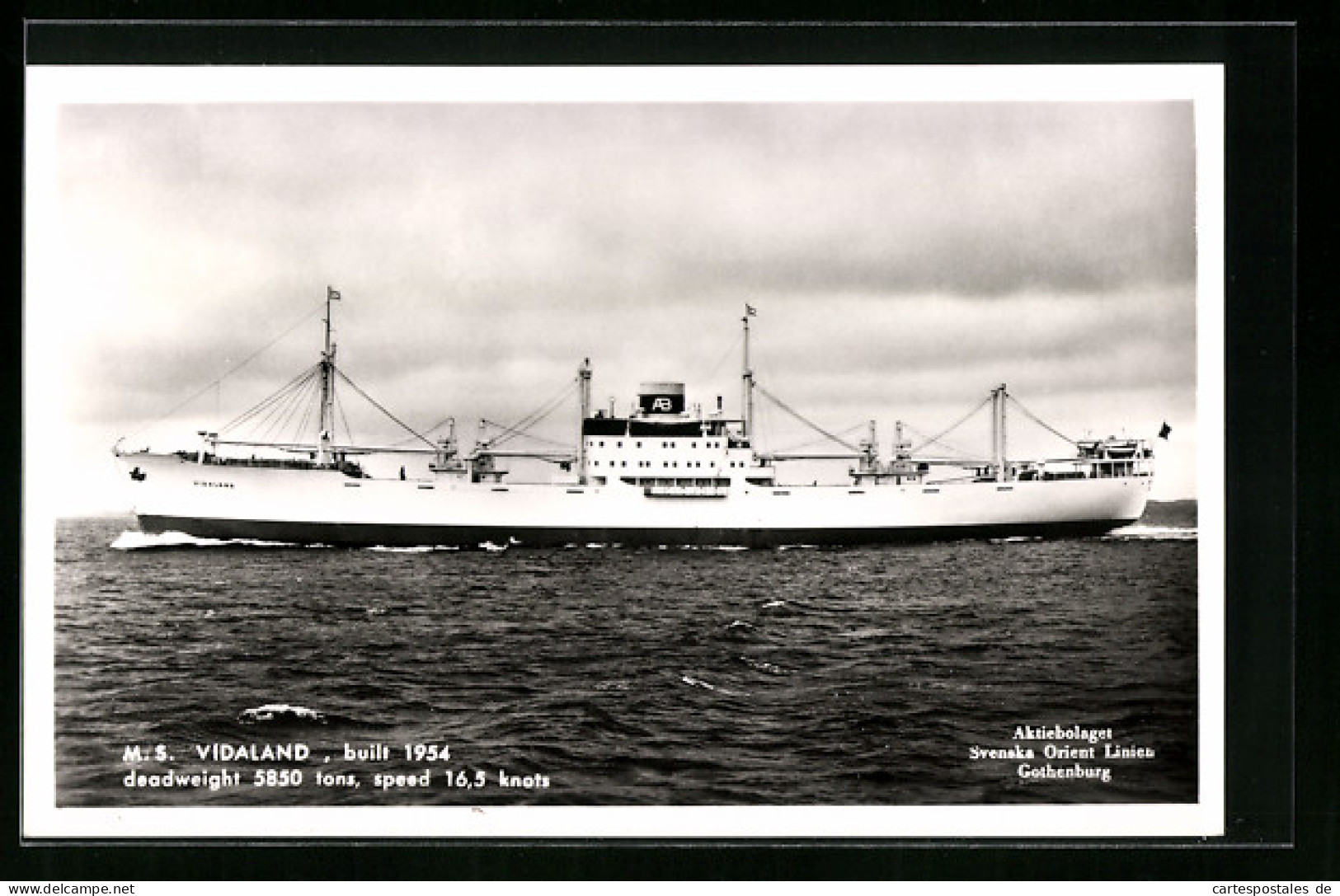 AK Handelsschiff M. S. Vidaland Vor Der Küste  - Cargos