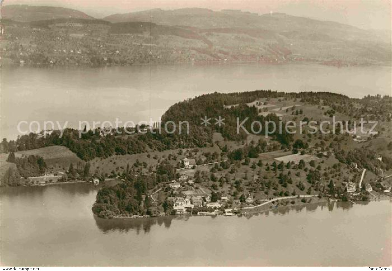 12799295 Hertenstein LU Park Und Ferienparadies Hotel Hertenstein Vierwaldstaett - Autres & Non Classés