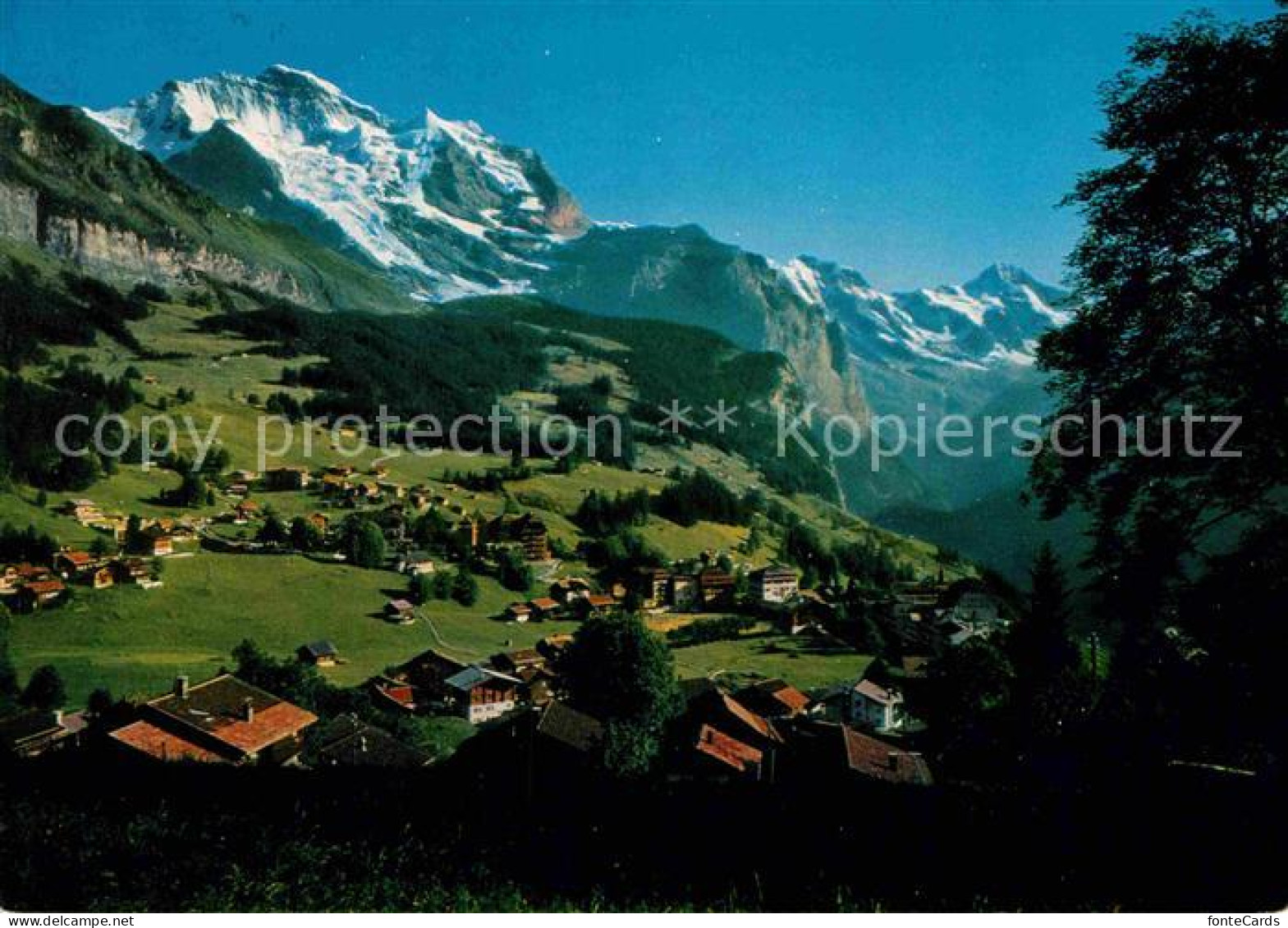 12766115 Wengen BE Mit Jungfrau Und Breithorn Wengen - Other & Unclassified