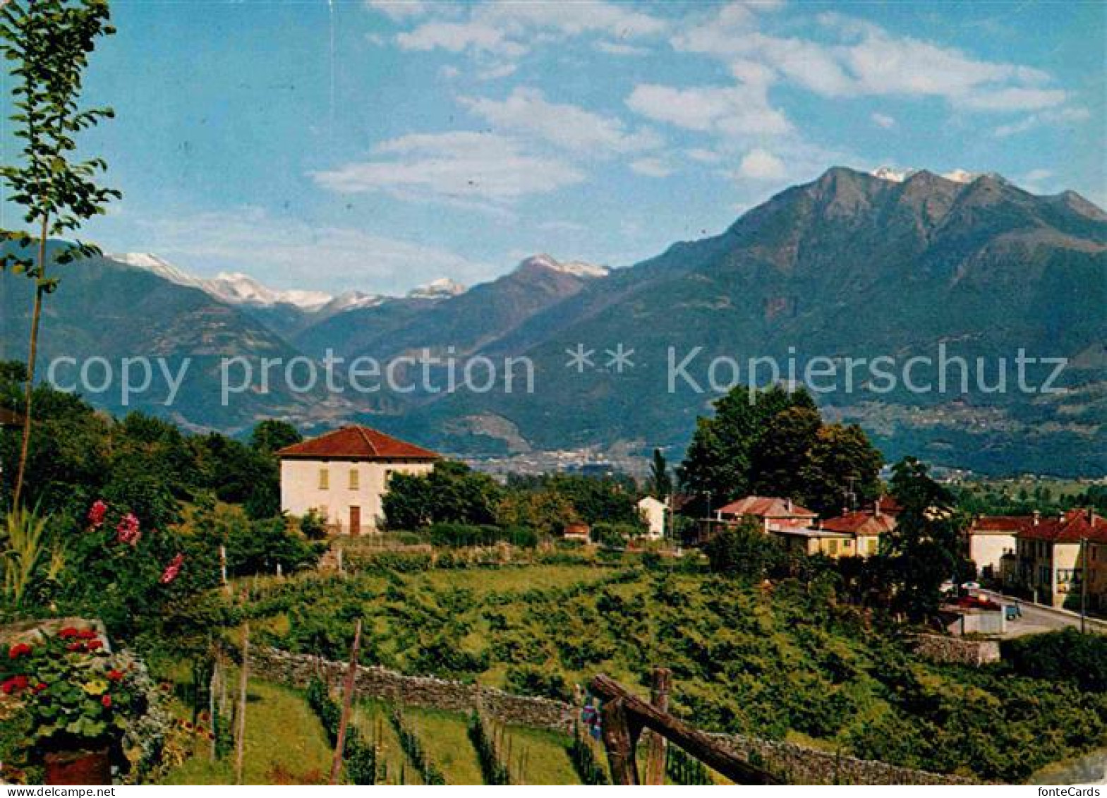 12705355 Gudo Alpenpanorama Gudo - Sonstige & Ohne Zuordnung