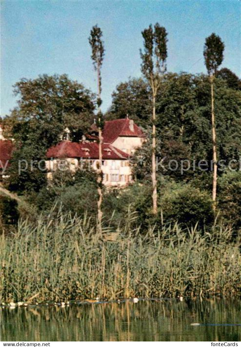 12678355 Hallwilersee Schloss-Hotel Brestenberg Hallwil - Sonstige & Ohne Zuordnung