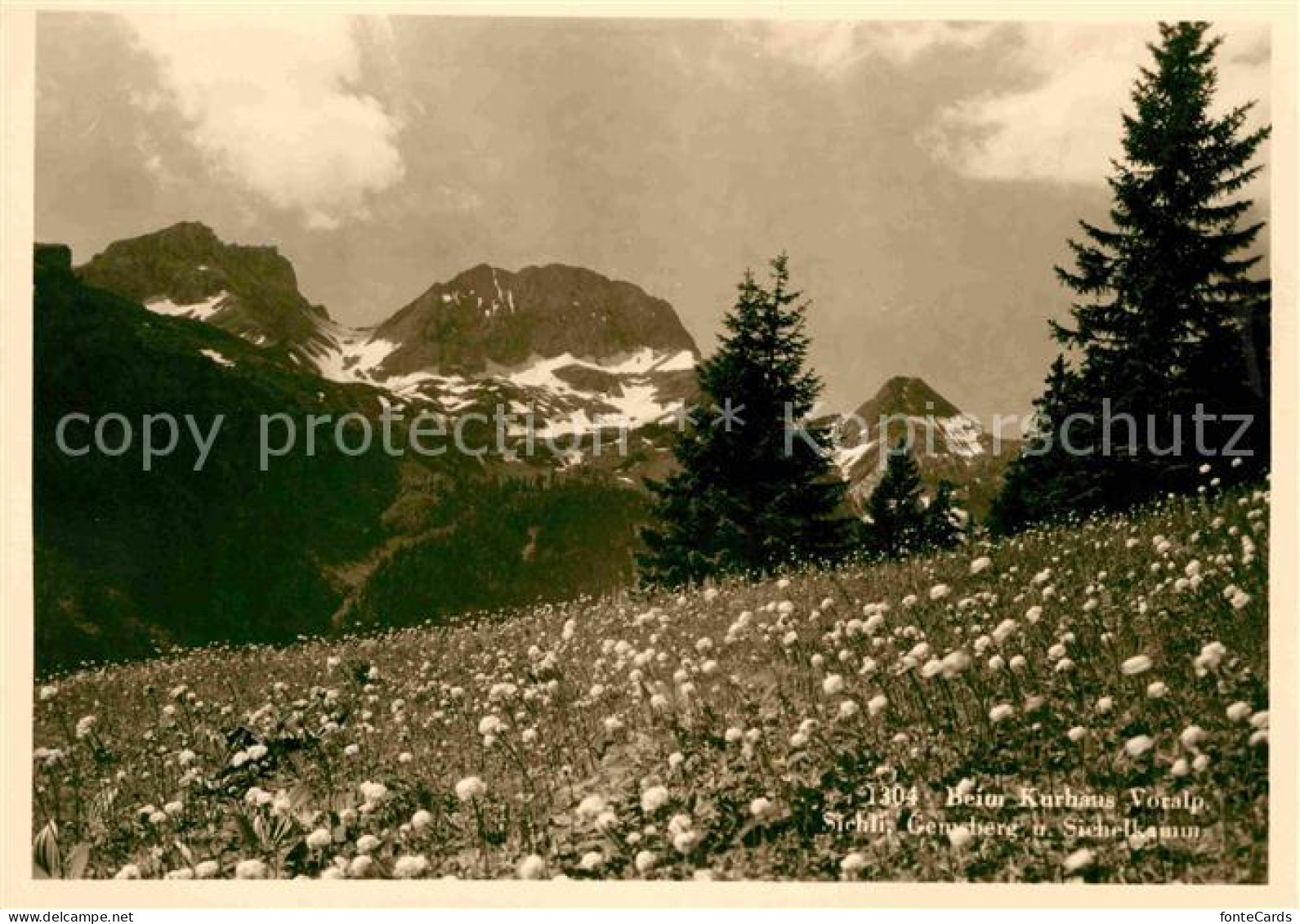 12672325 Grabs SG Blumenwiese Beim Kurhaus Voralp Sichli Gemsberg Und Sichelkamm - Altri & Non Classificati