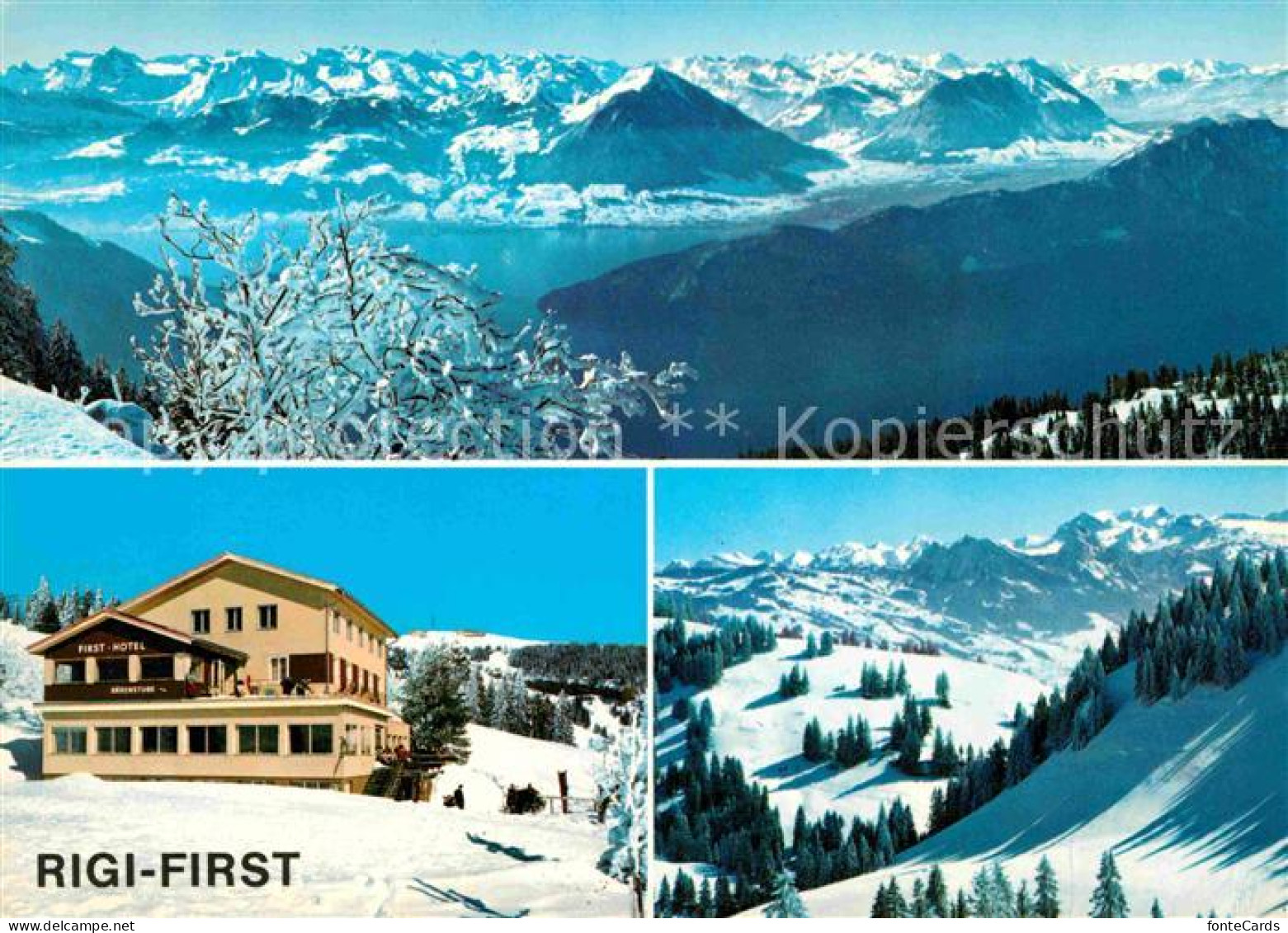 12649145 Rigi Kaltbad Alpenpanorama Winterlandschaft Rigi First Baerenstube Rigi - Other & Unclassified