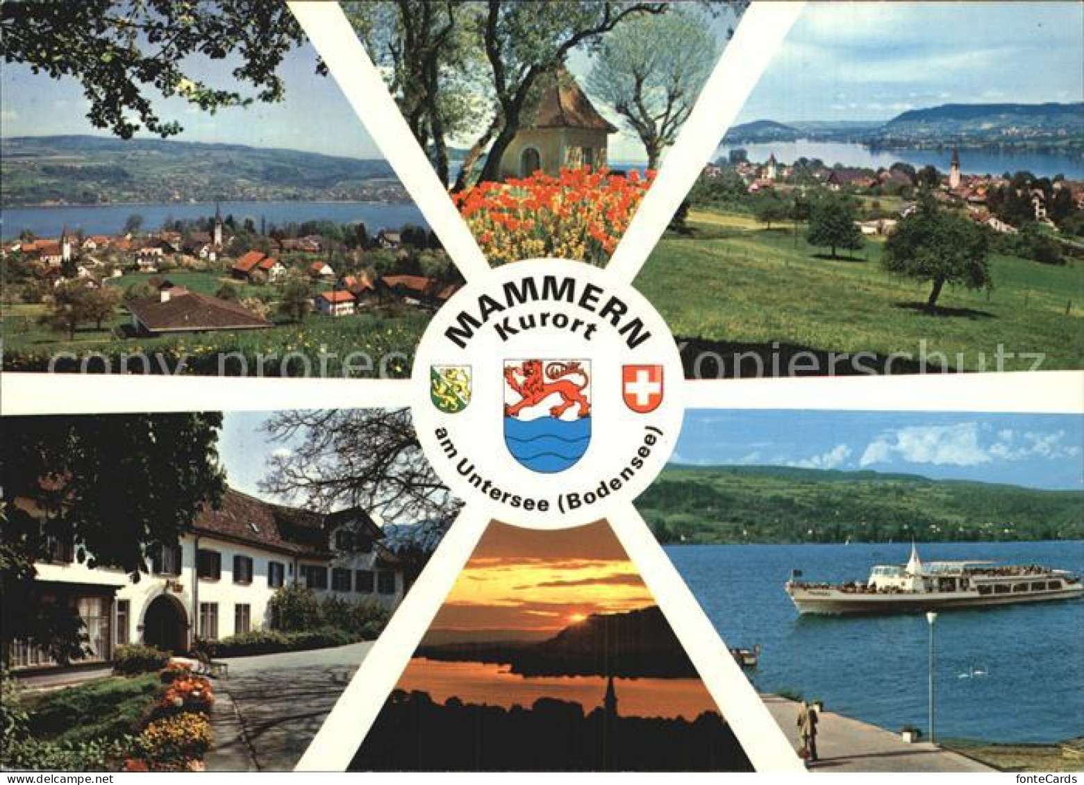 12587595 Mammern Untesee Bodensee Schiff Mammern - Otros & Sin Clasificación