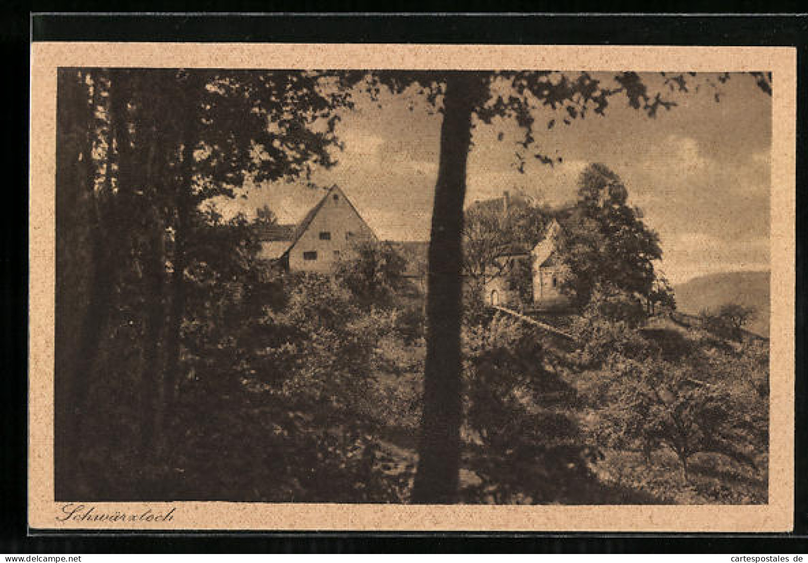 AK Schwärzloch Bei Tübingen, Blick Auf Wohnhäuser Vom Wald Aus  - Tübingen