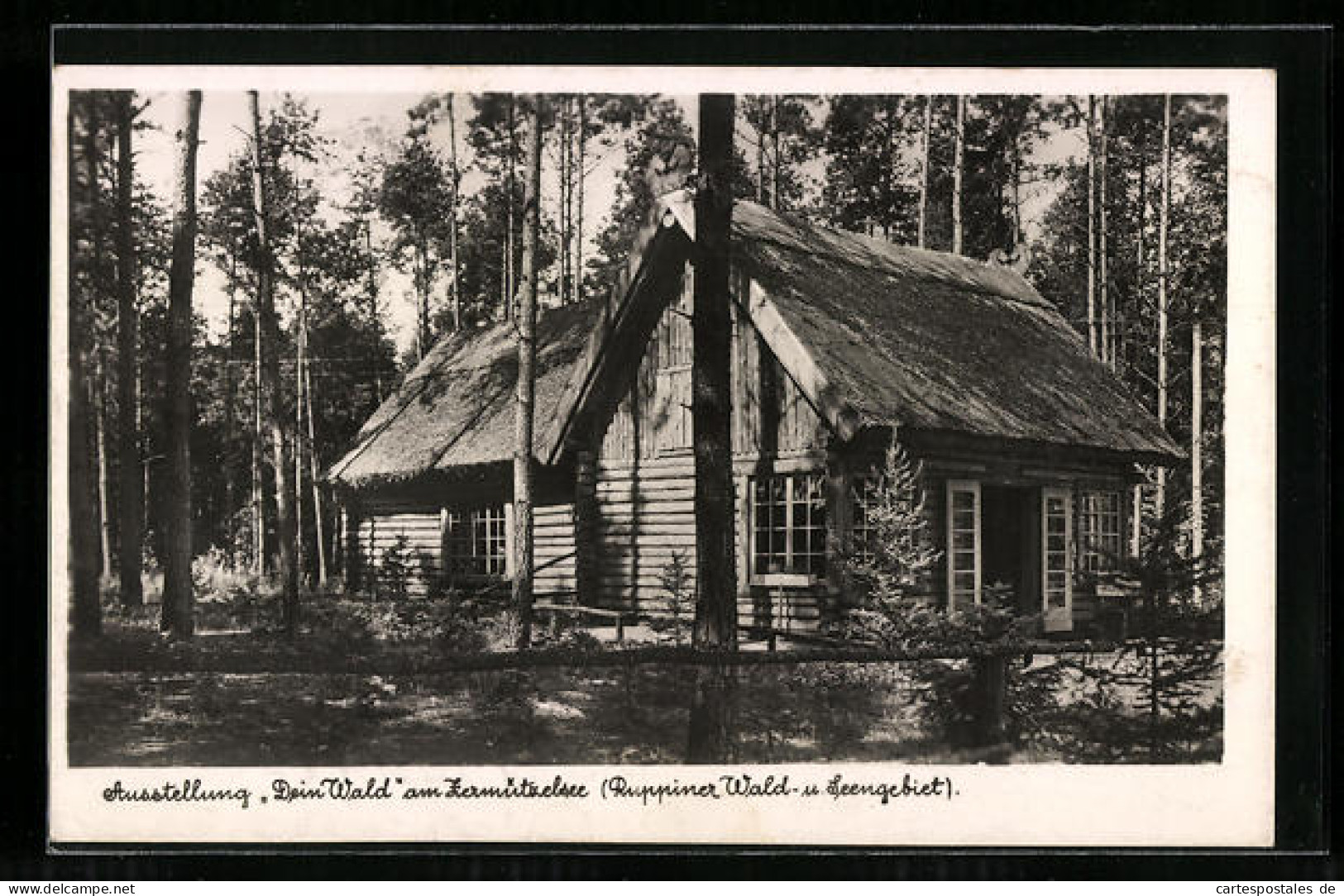 AK Neuruppin, Ausstellung Dein Wald Am Zermützelsee, Blockhaus  - Exposiciones
