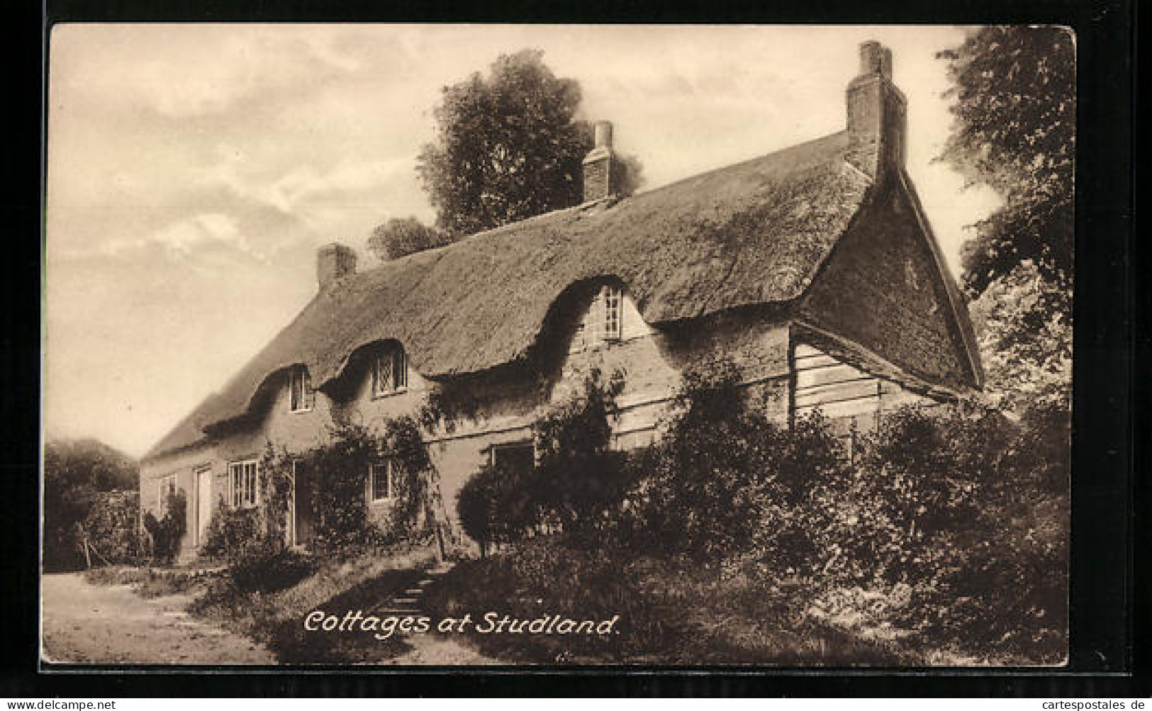 Pc Studland, Cottages At Studland  - Otros & Sin Clasificación