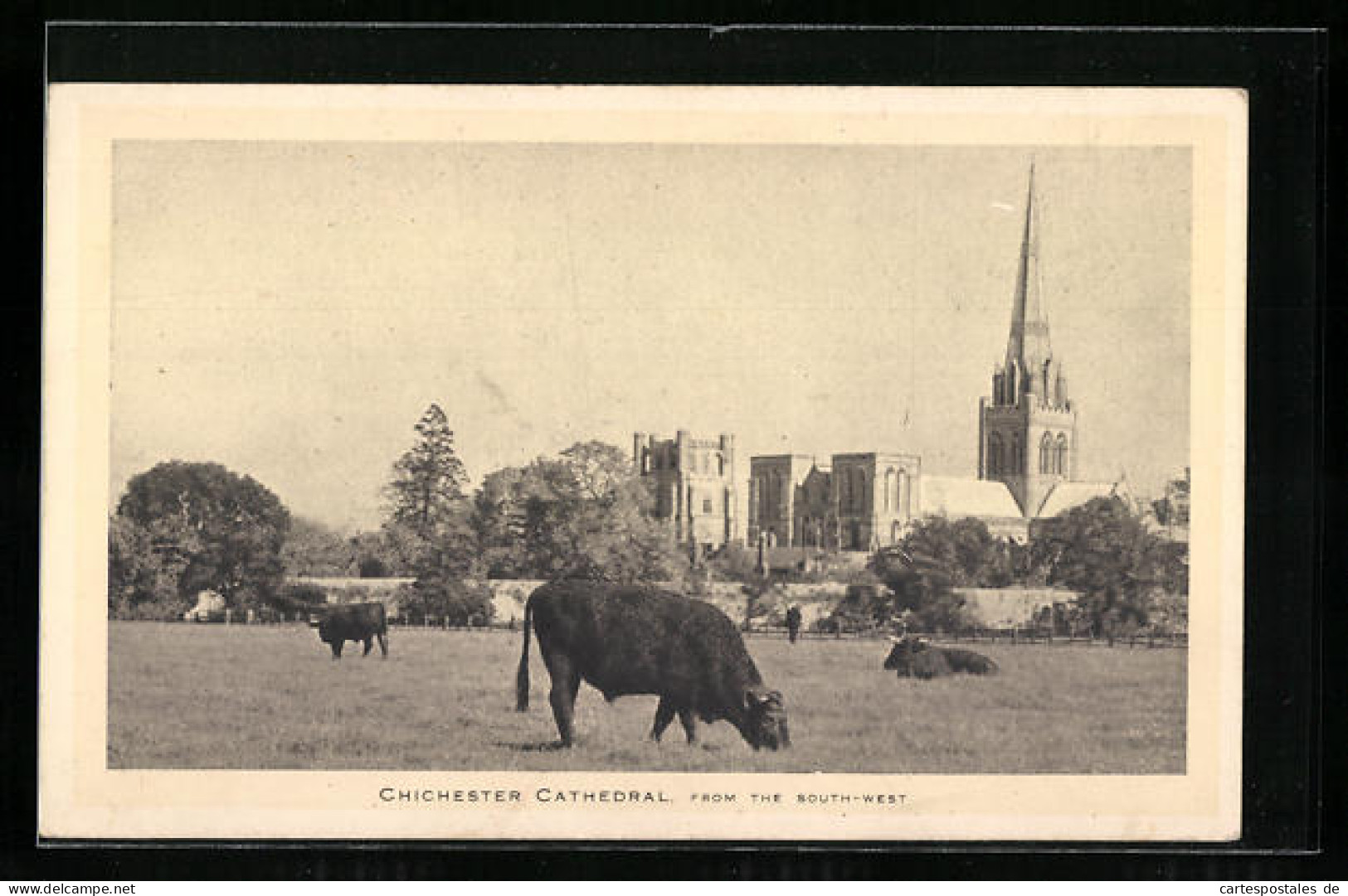 Pc Chichester, Chichester Cathedral From The South-West  - Altri & Non Classificati
