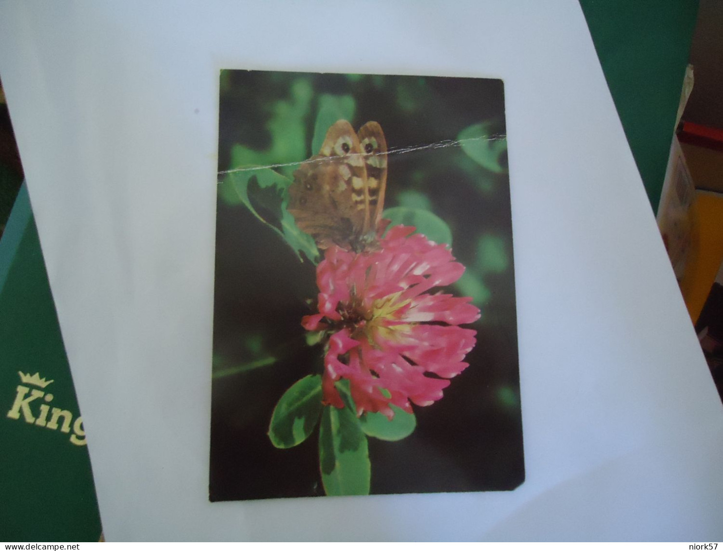 BULGARIA     POSTCARDS  1976  BUTTERFLIES AND FLOWERS   FOR MORE PURHASES 10% DISCOUNT - Bulgarije