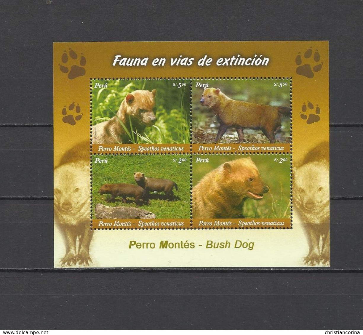 PERU 2007 BUSH DOGS - Perù