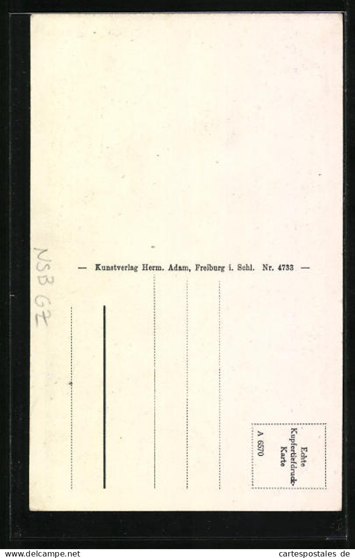 AK Bad Reinerz, Gesamtansicht Schmelzetal  - Schlesien